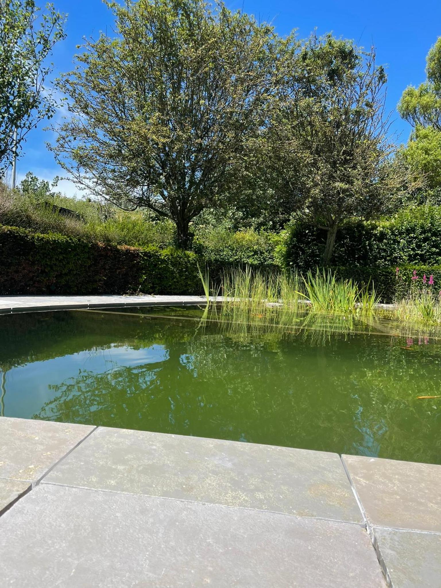 Villa in front of the sea with natural swimming pond