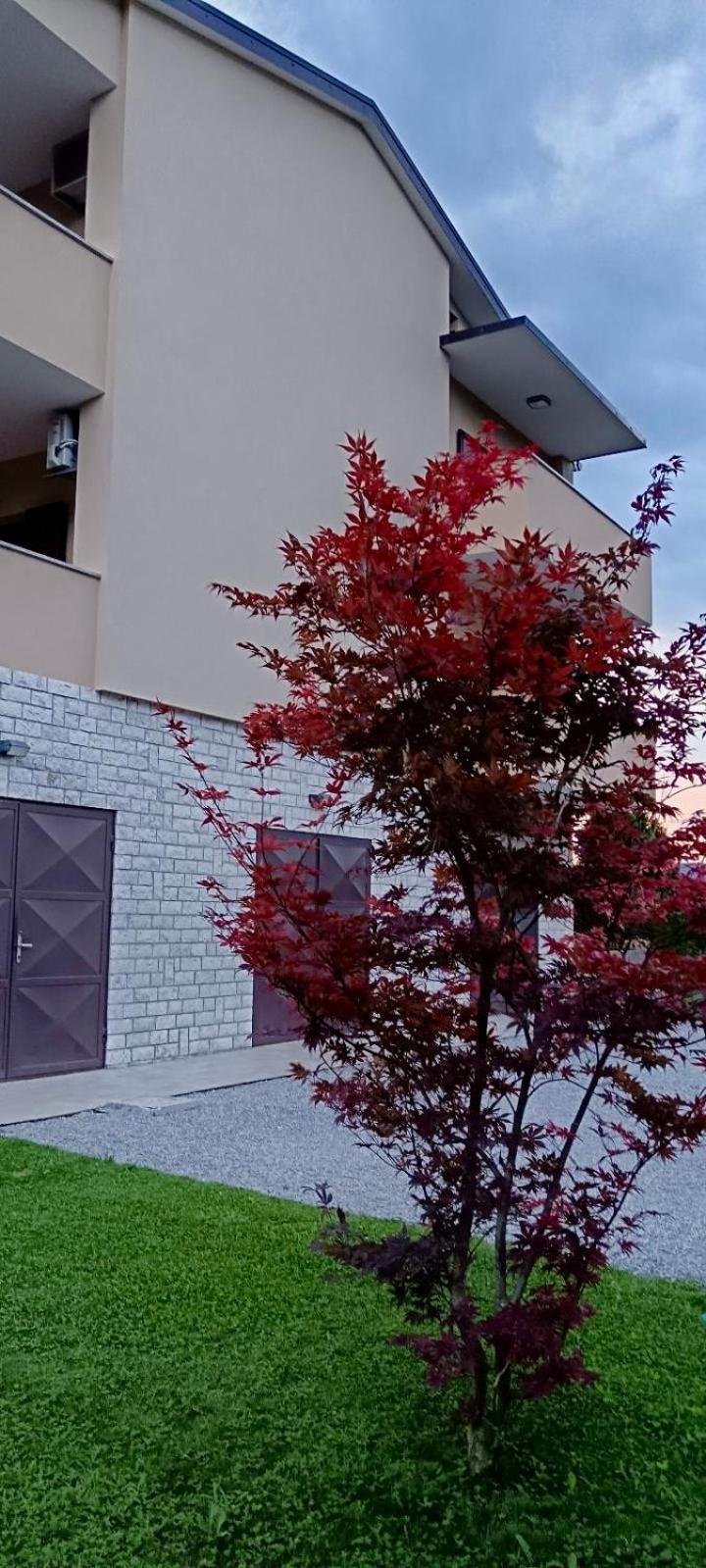 Apartman Medica