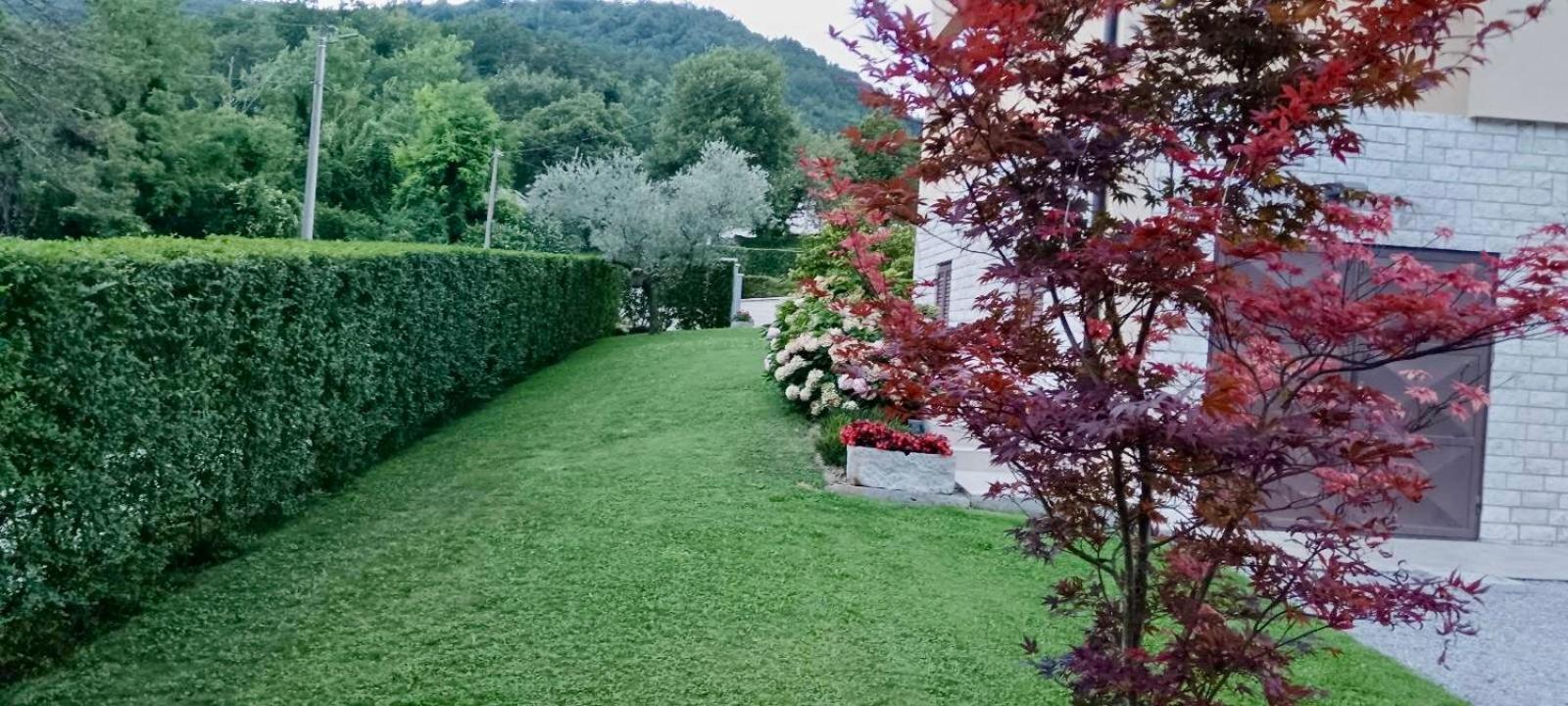 Apartman Medica