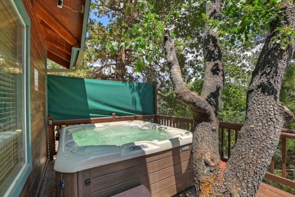 Cozy Bear Cabin With AC Hot Tub MountainViews