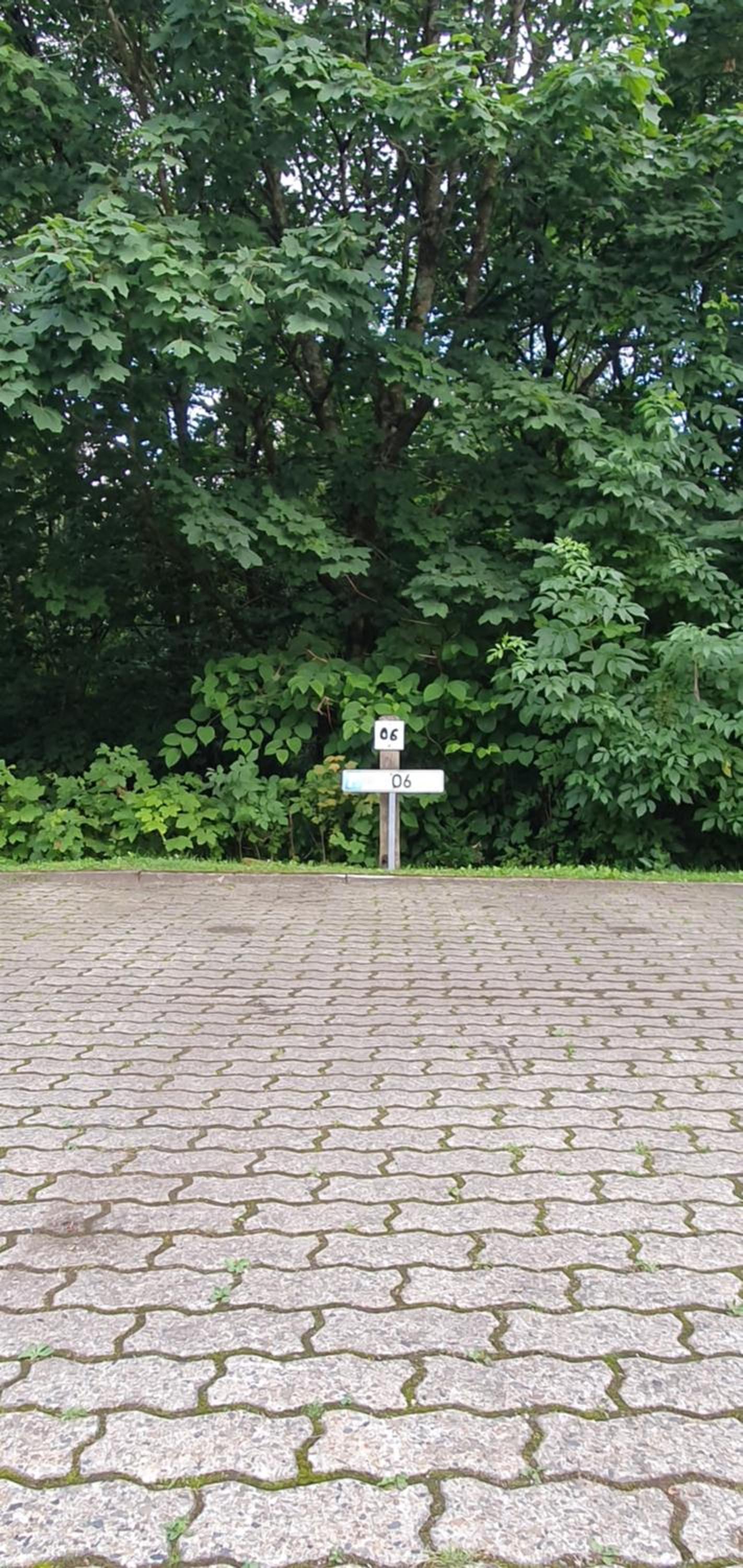 Moderne Ferienwohnung in Hahnenklee- inklusive Wäschepaket-