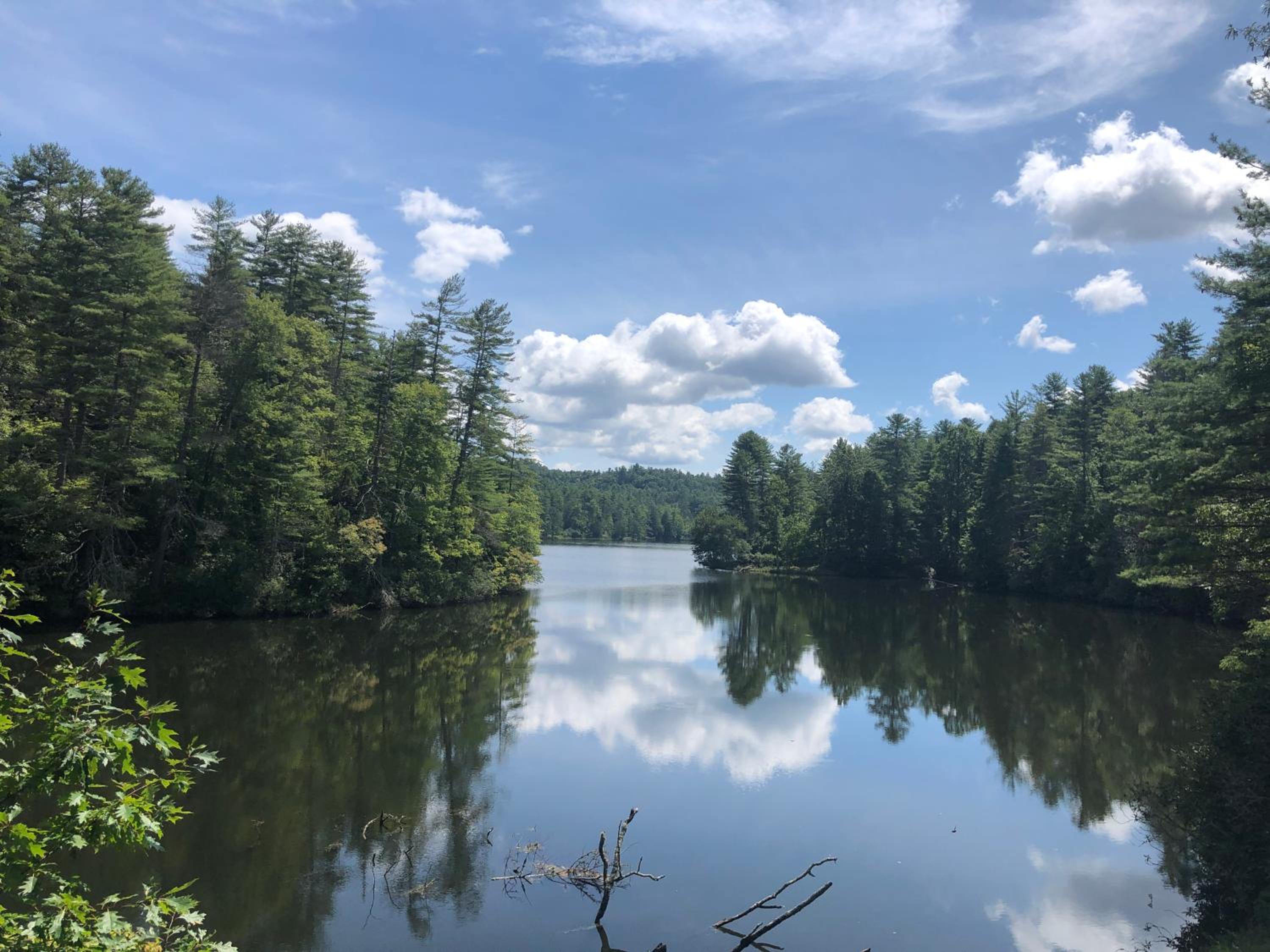 Charming Romantic Lakefront Cottage or Guest Room Depending on Availability Near Golf