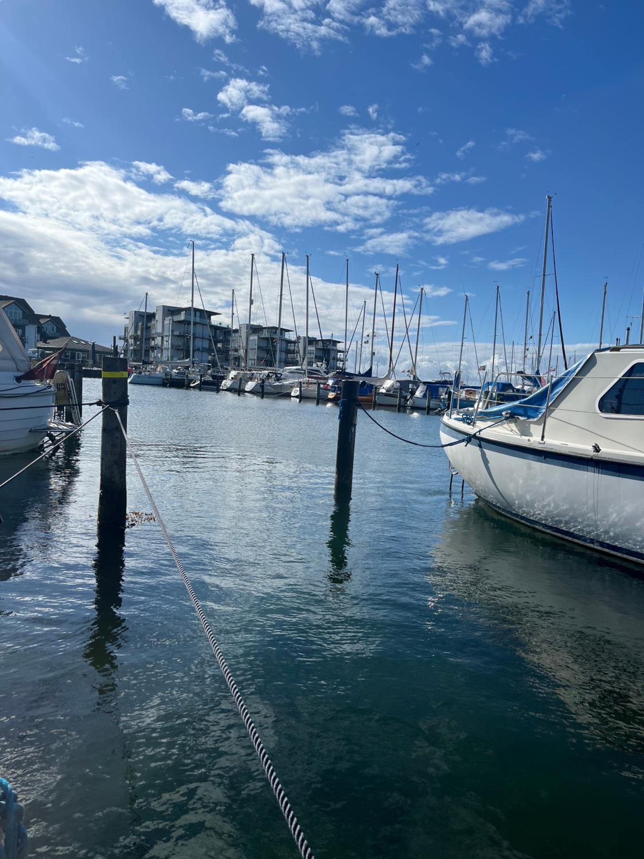 MADUCO Waterfront, Rejen