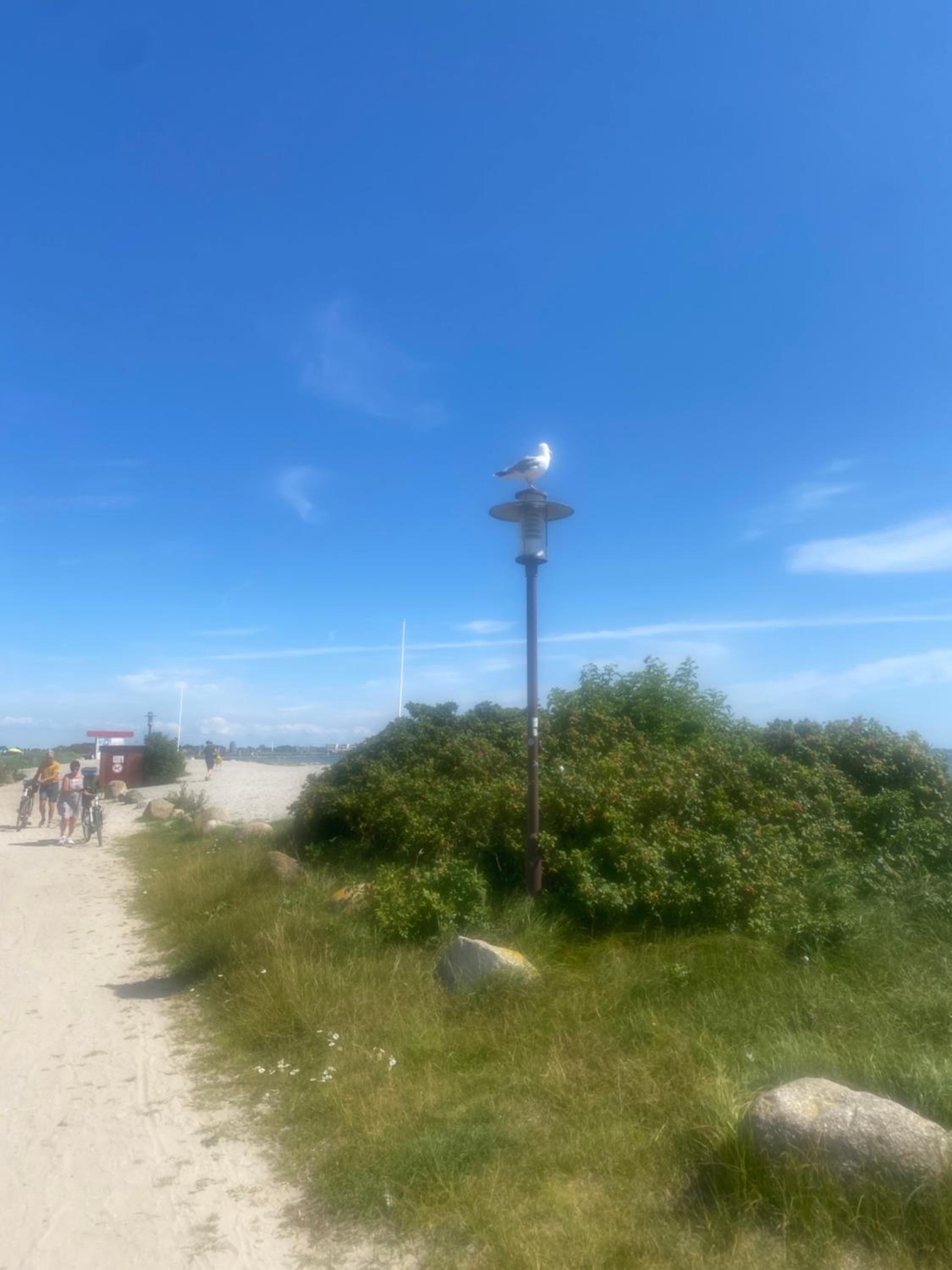 Wohnwagen auf dem Wulfenerhals ca 150m bis zum Meer