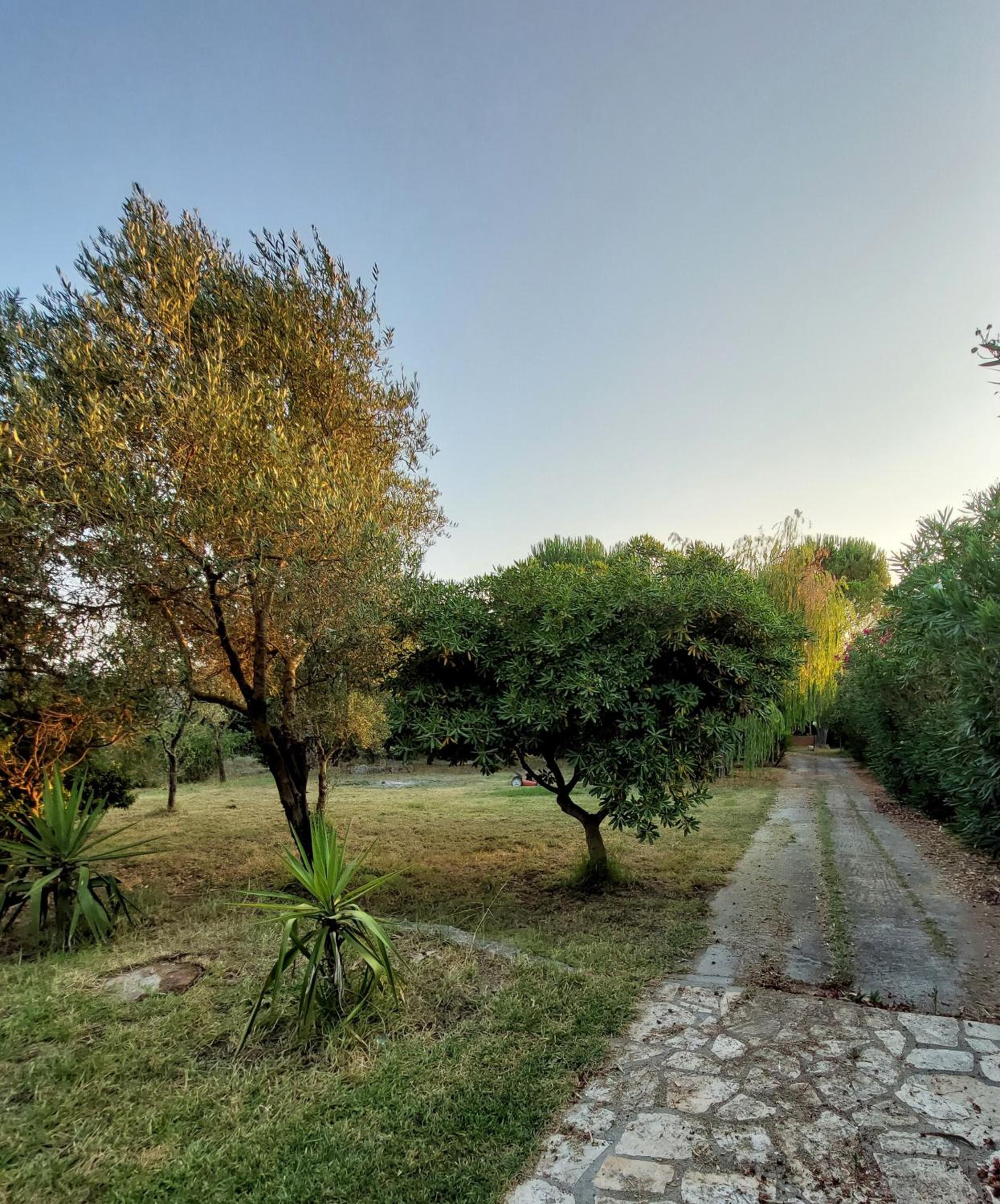 Angeliki and Myrto Villa