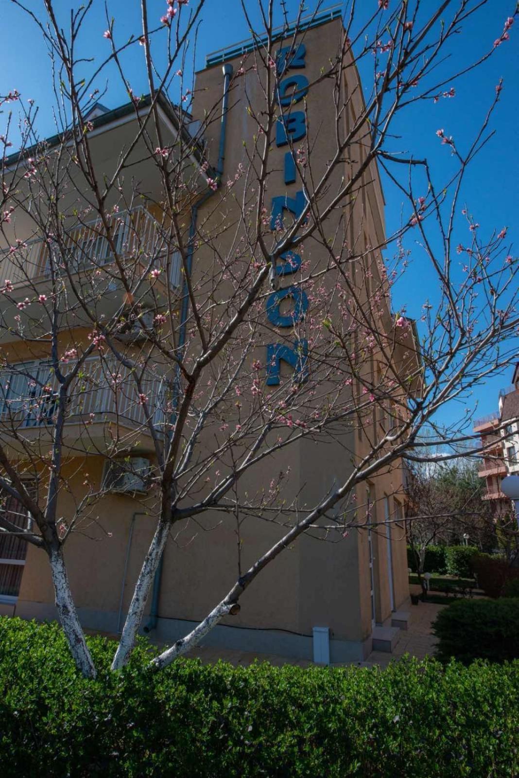 Apartment 19