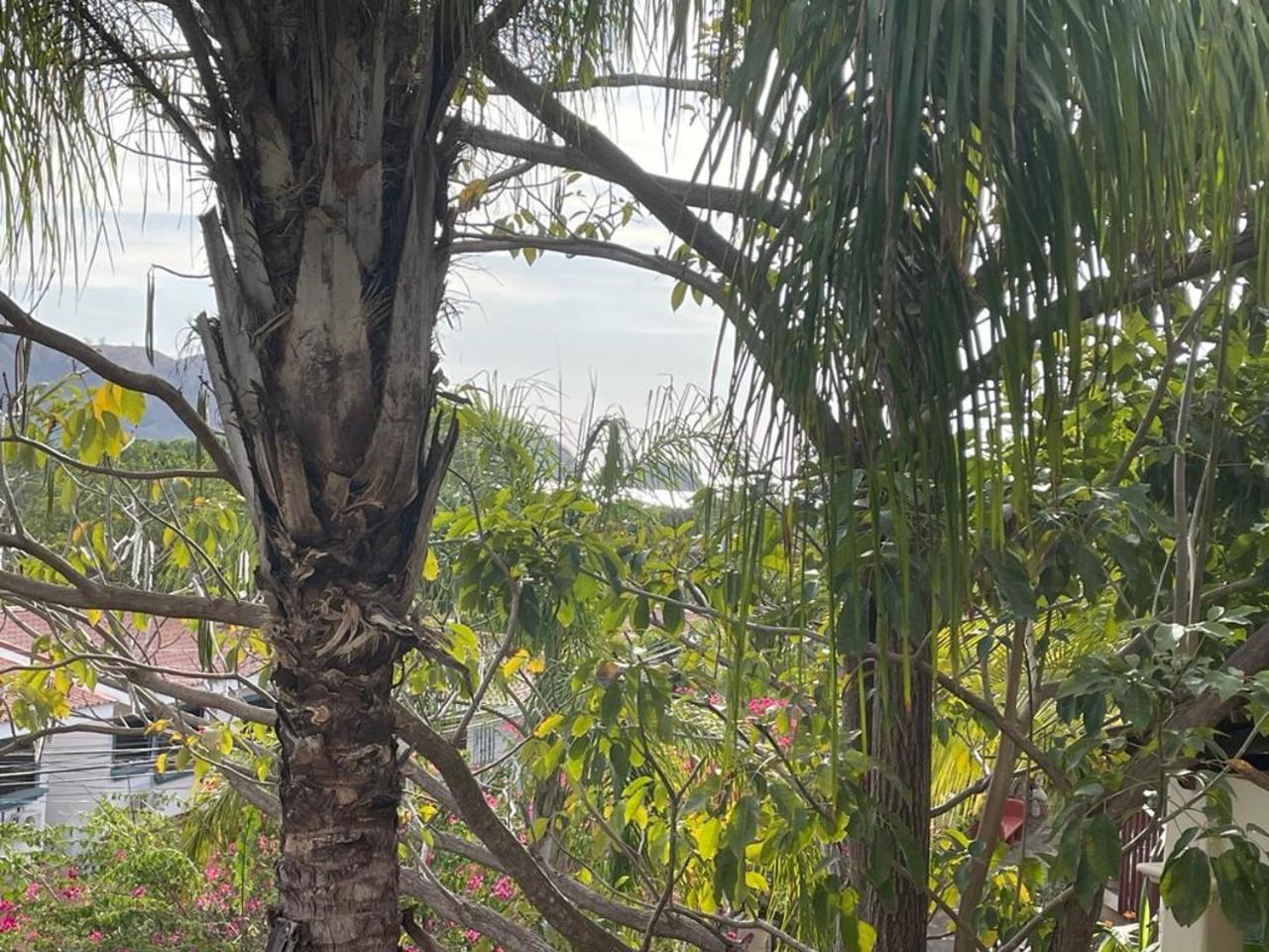 Breezy Paradise 2 bed2bath with mountain view