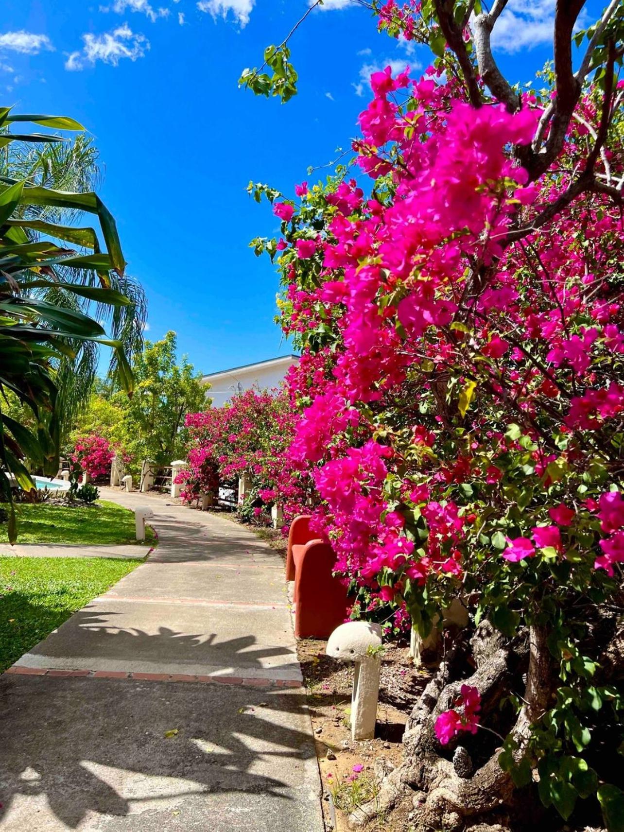 Breezy Paradise 2 bed2bath with mountain view