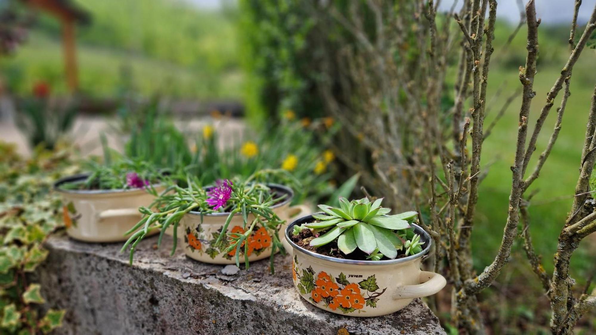 Trebecaj gardens