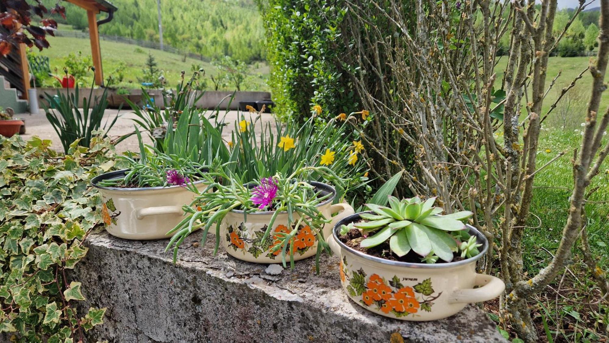Trebecaj gardens