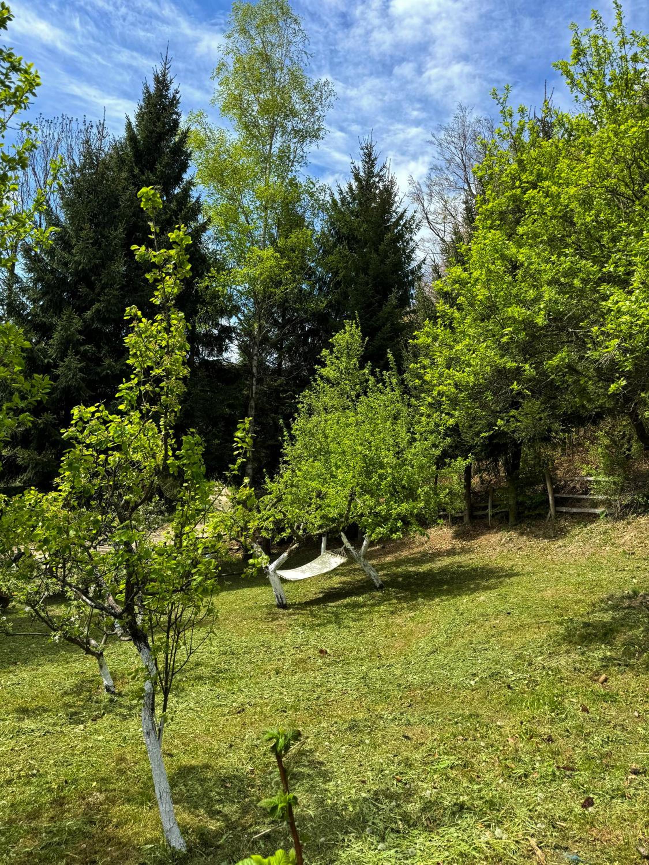 Planinska kuća Palačinka view 2