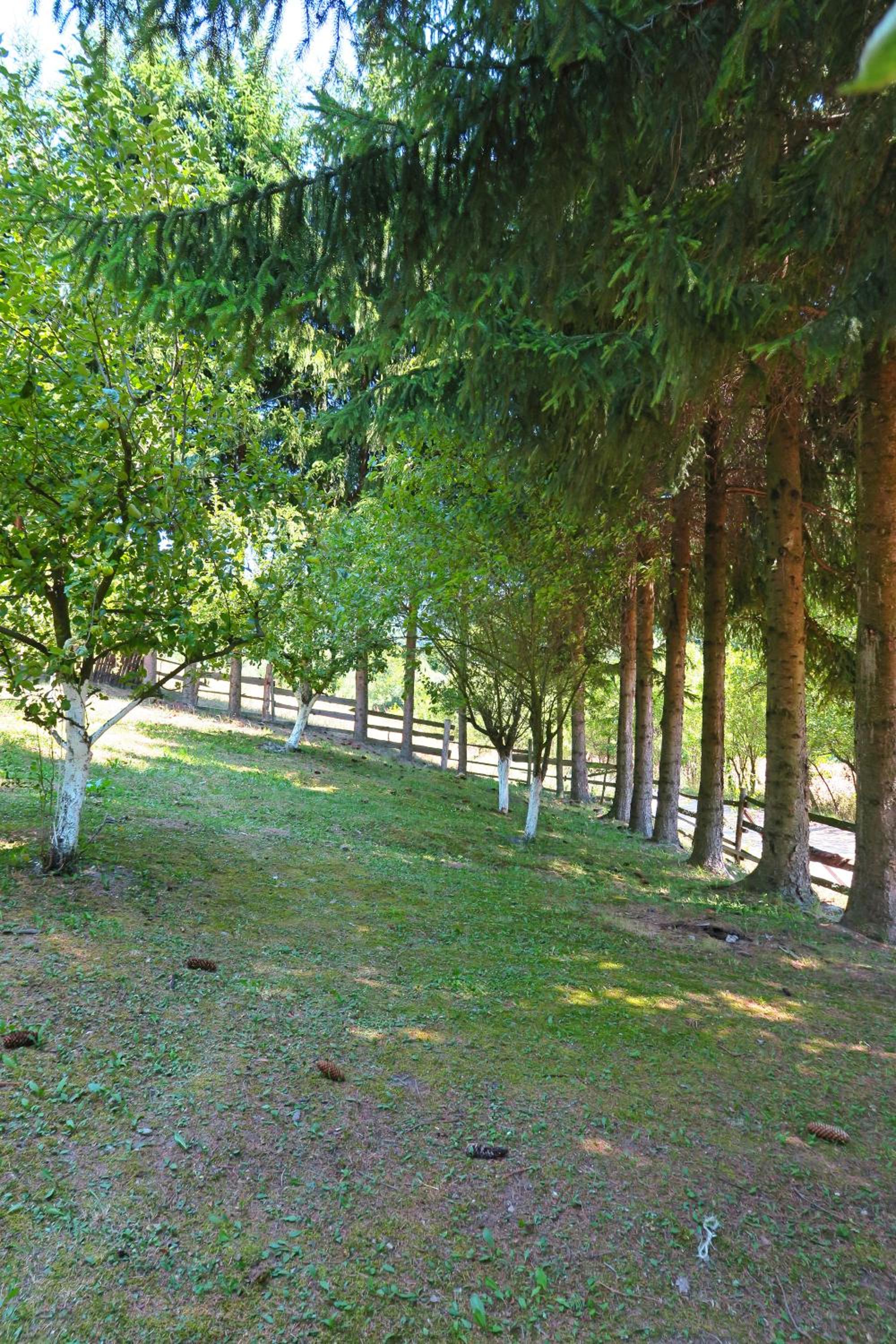 Planinska kuća Palačinka view 3