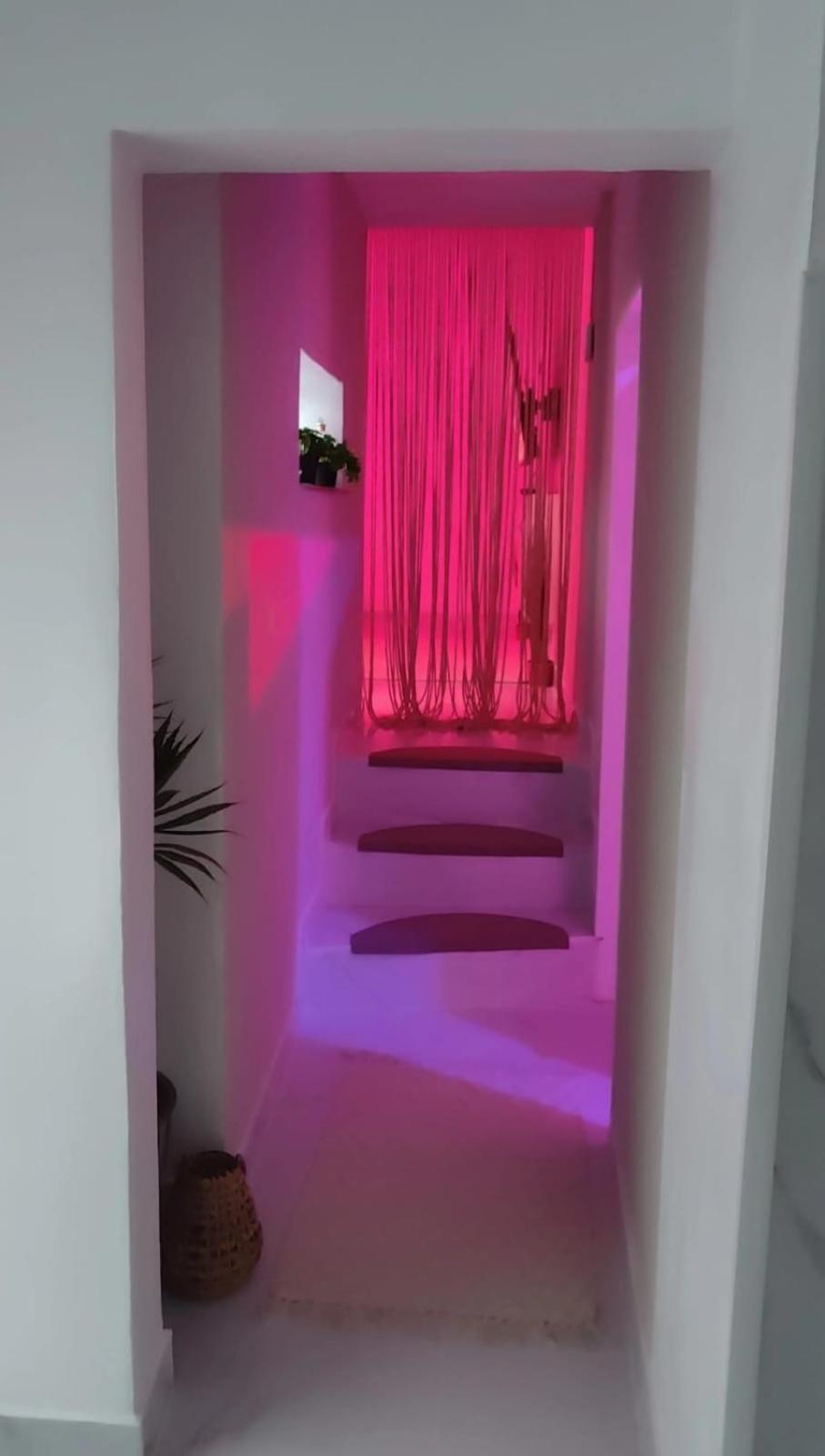 Suite bohème