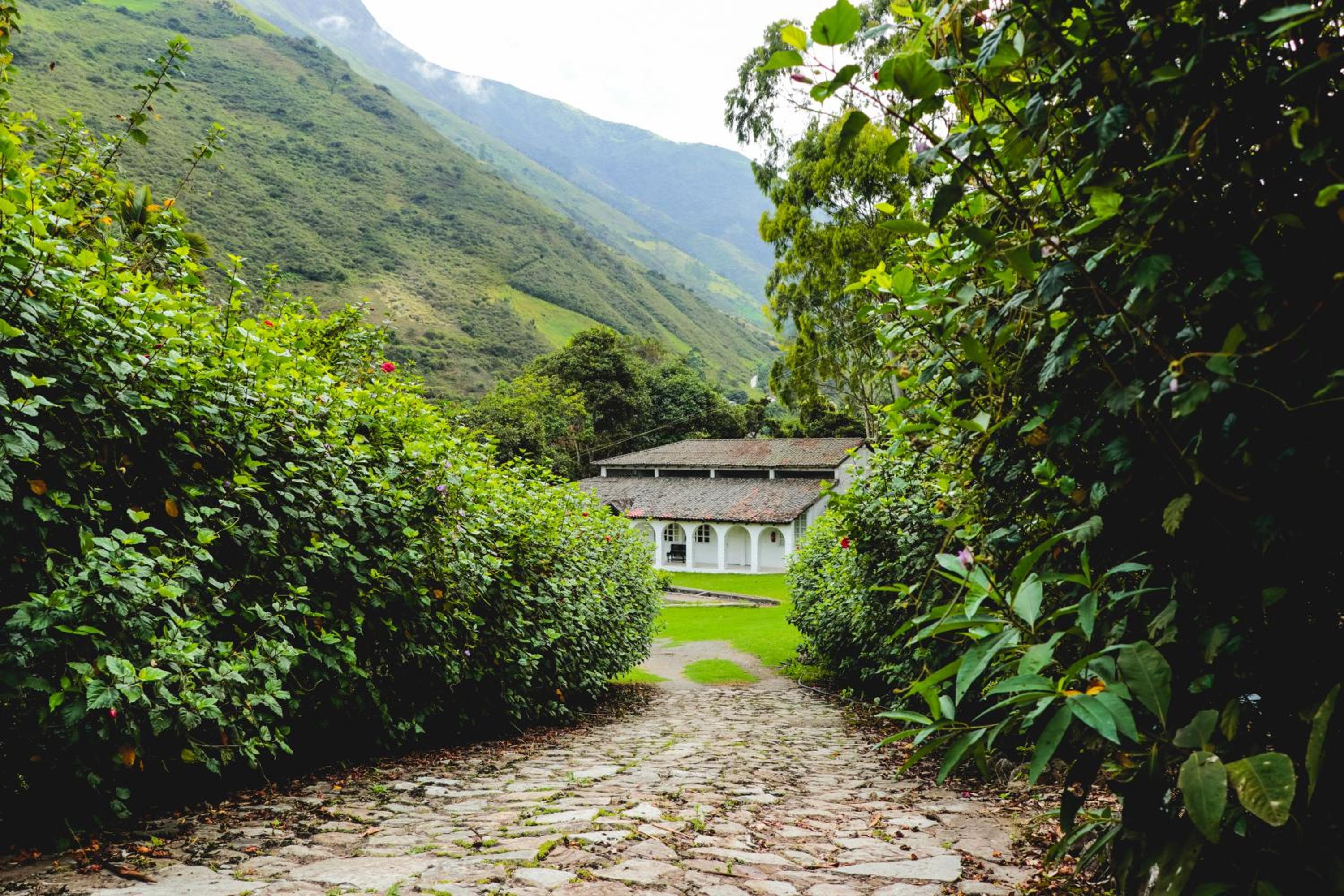 Hostería La Eterna Primavera