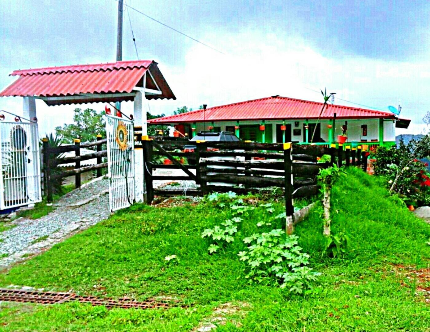 Hostal y Camping Los Girasoles