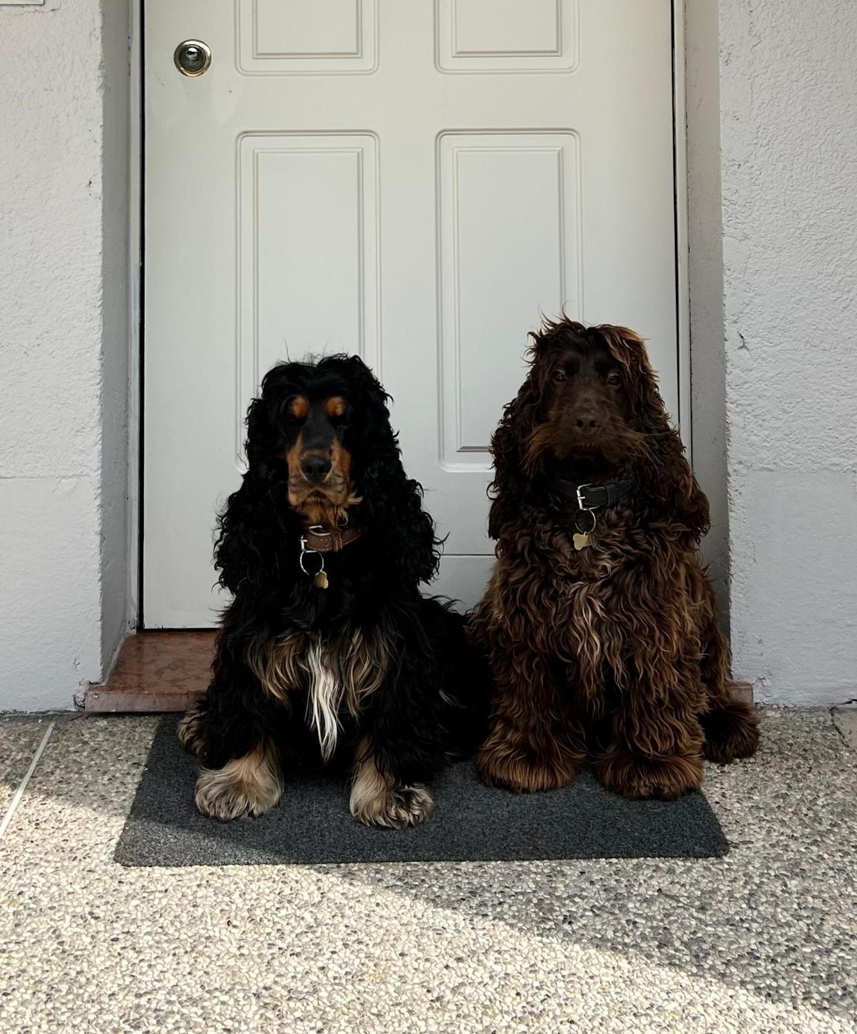 Appartamento da Bunny & Brownie view 5
