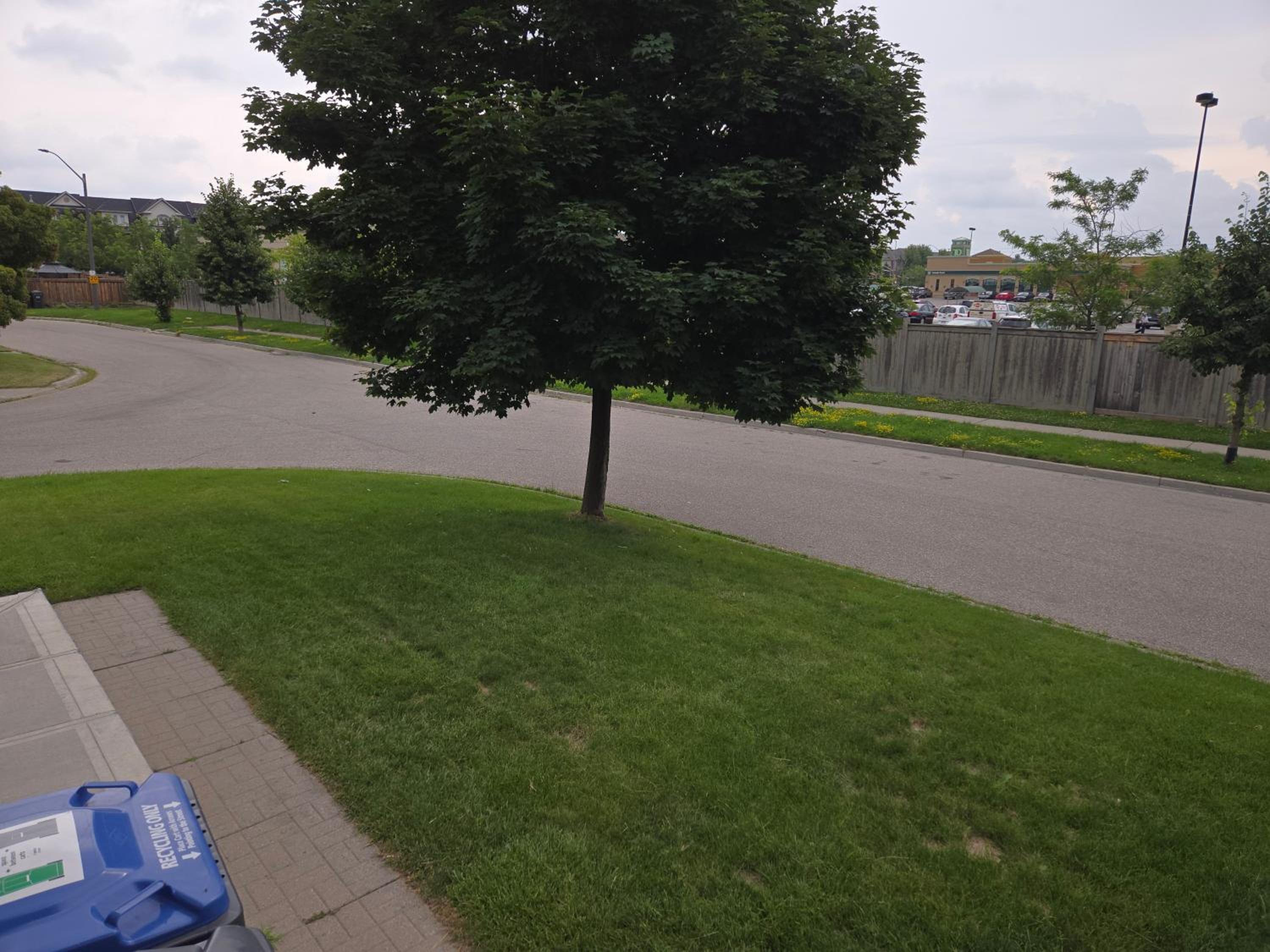 Luxury Home in Mississauga