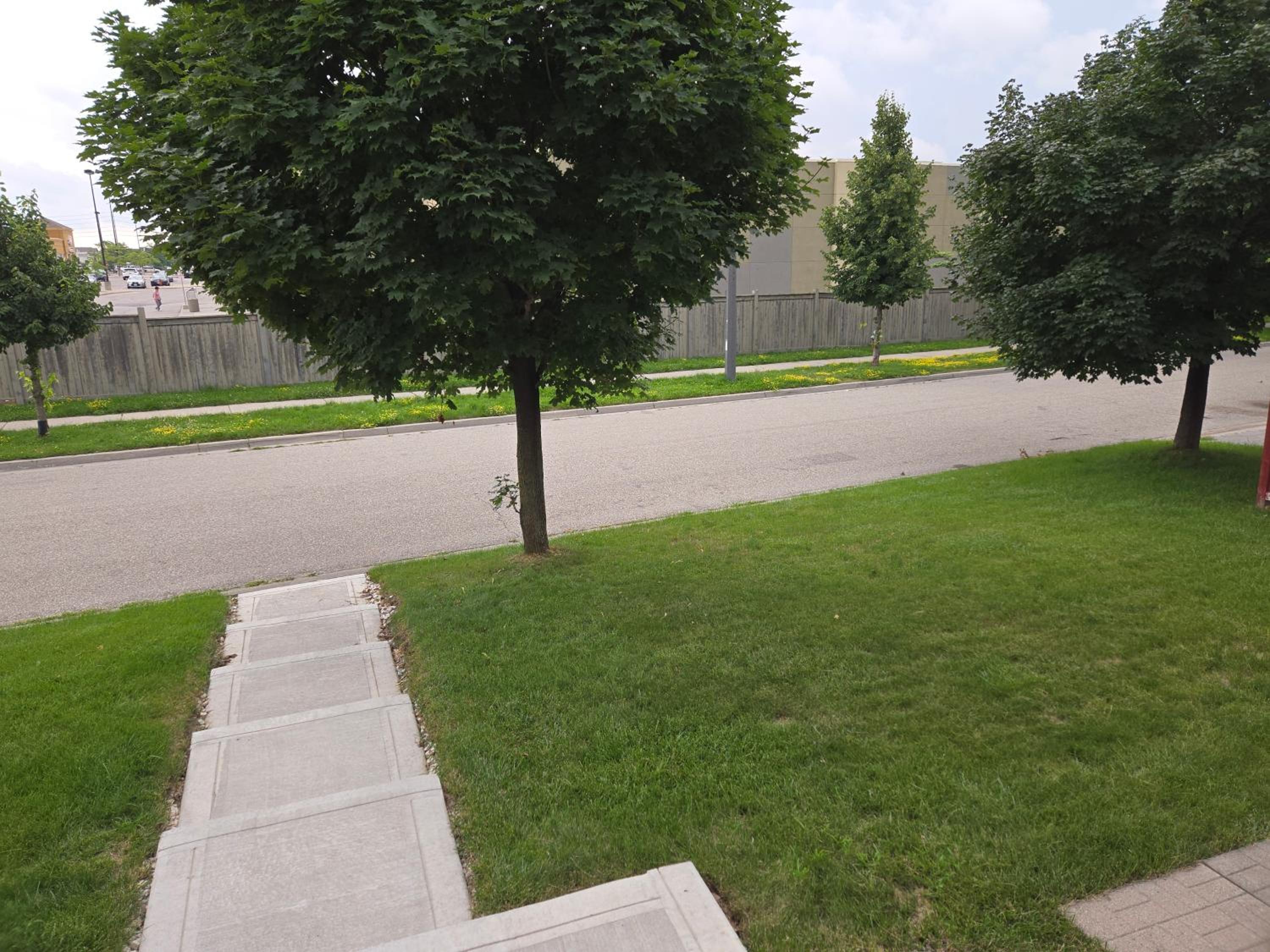 Luxury Home in Mississauga