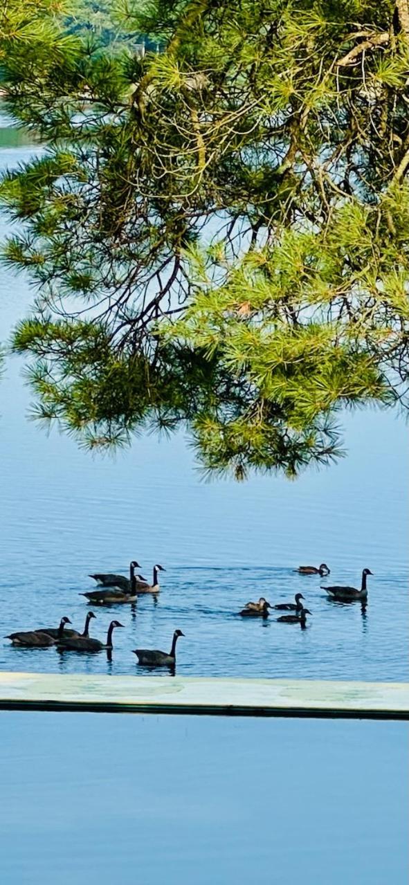 Muskoka Beach Front