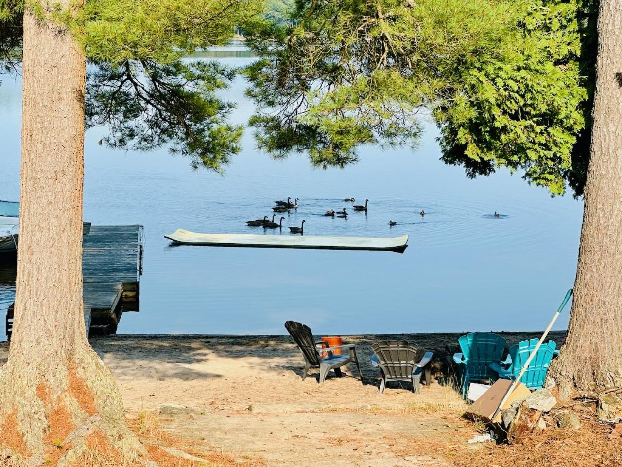 Muskoka Beach Front