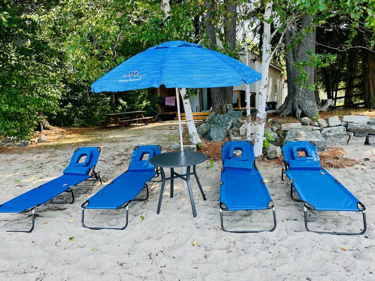 Muskoka Beach Front