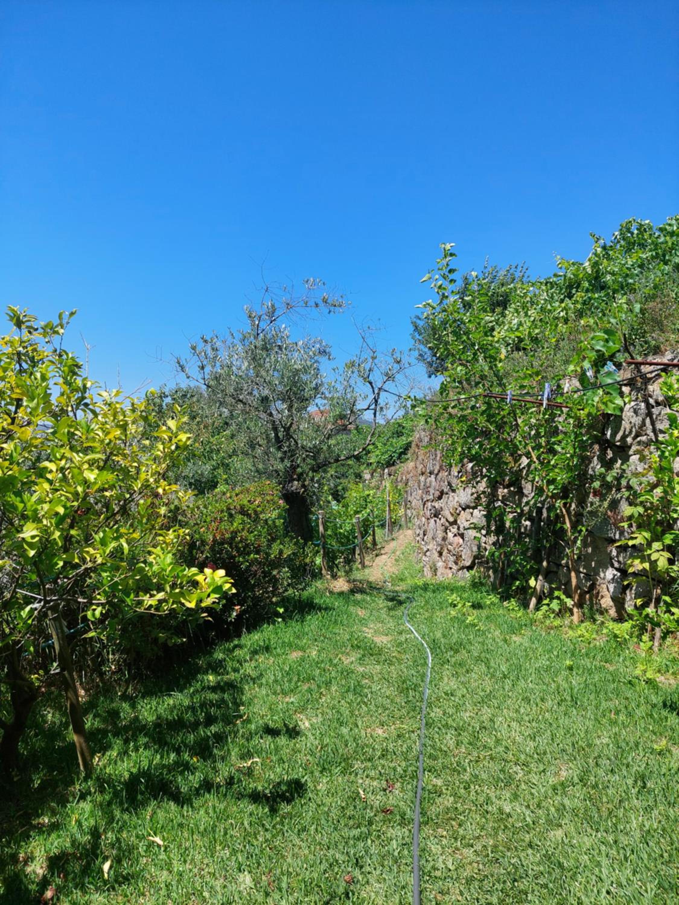 Refúgio das Hortênsias view 5