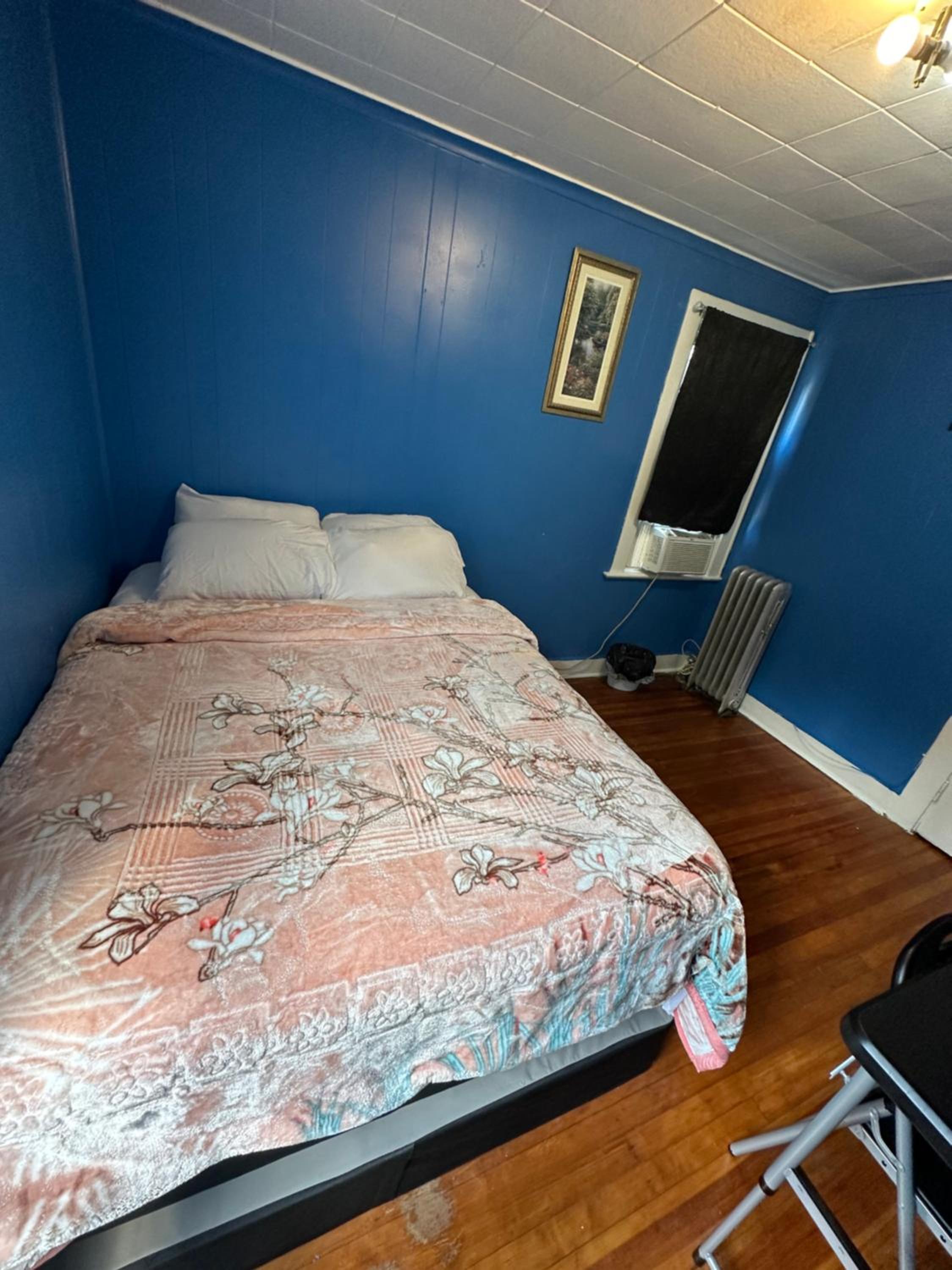 Fidelia Fuchsite Room, Queen Bed minutes from Newark Liberty international Airport and Newark Penn Station - Property Image 3