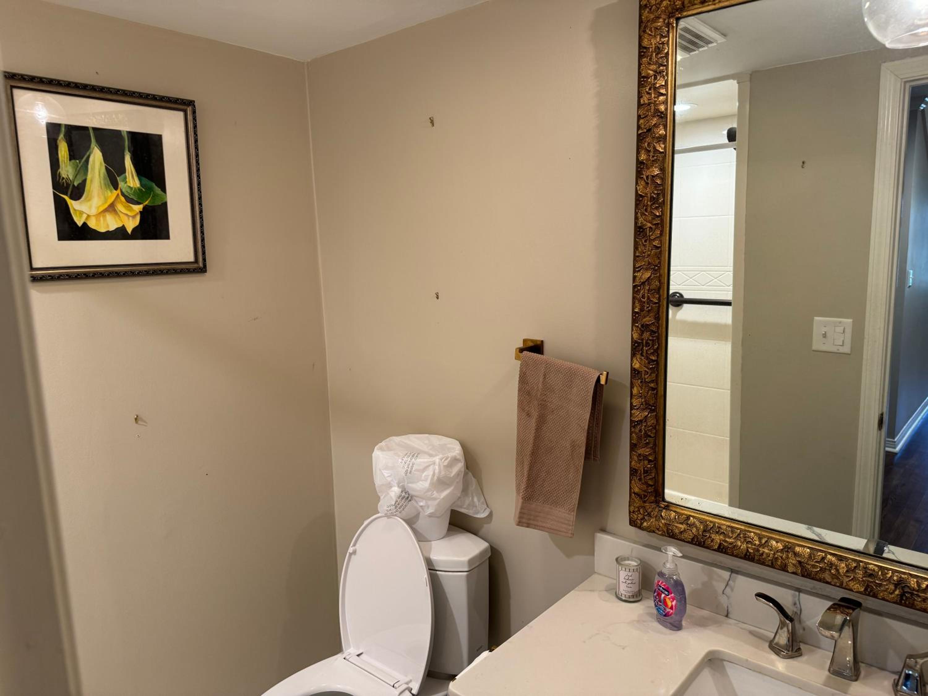Photo 46