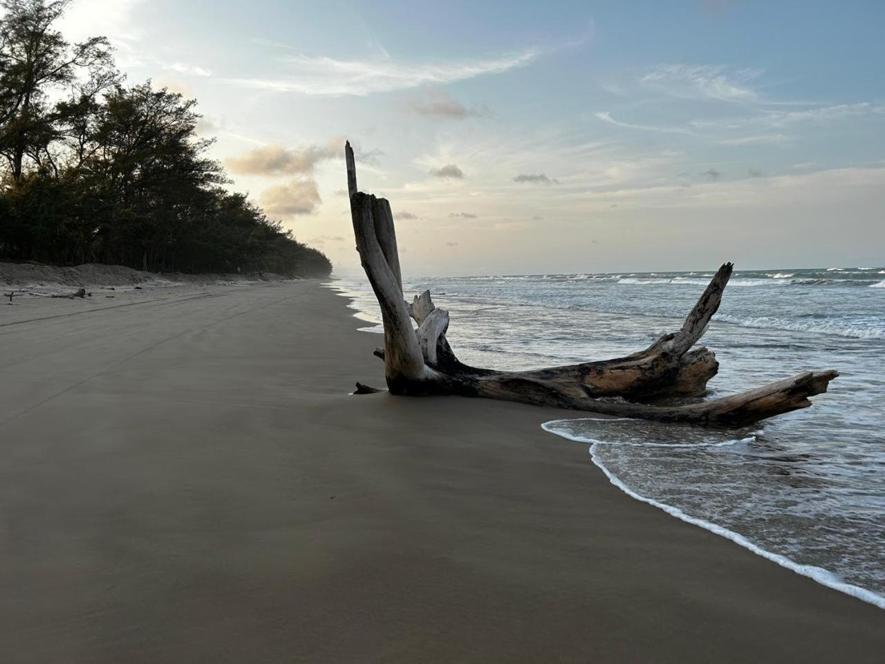 Beautiful Beach House with Private Pool in Tuxpan - Colibrí view 2