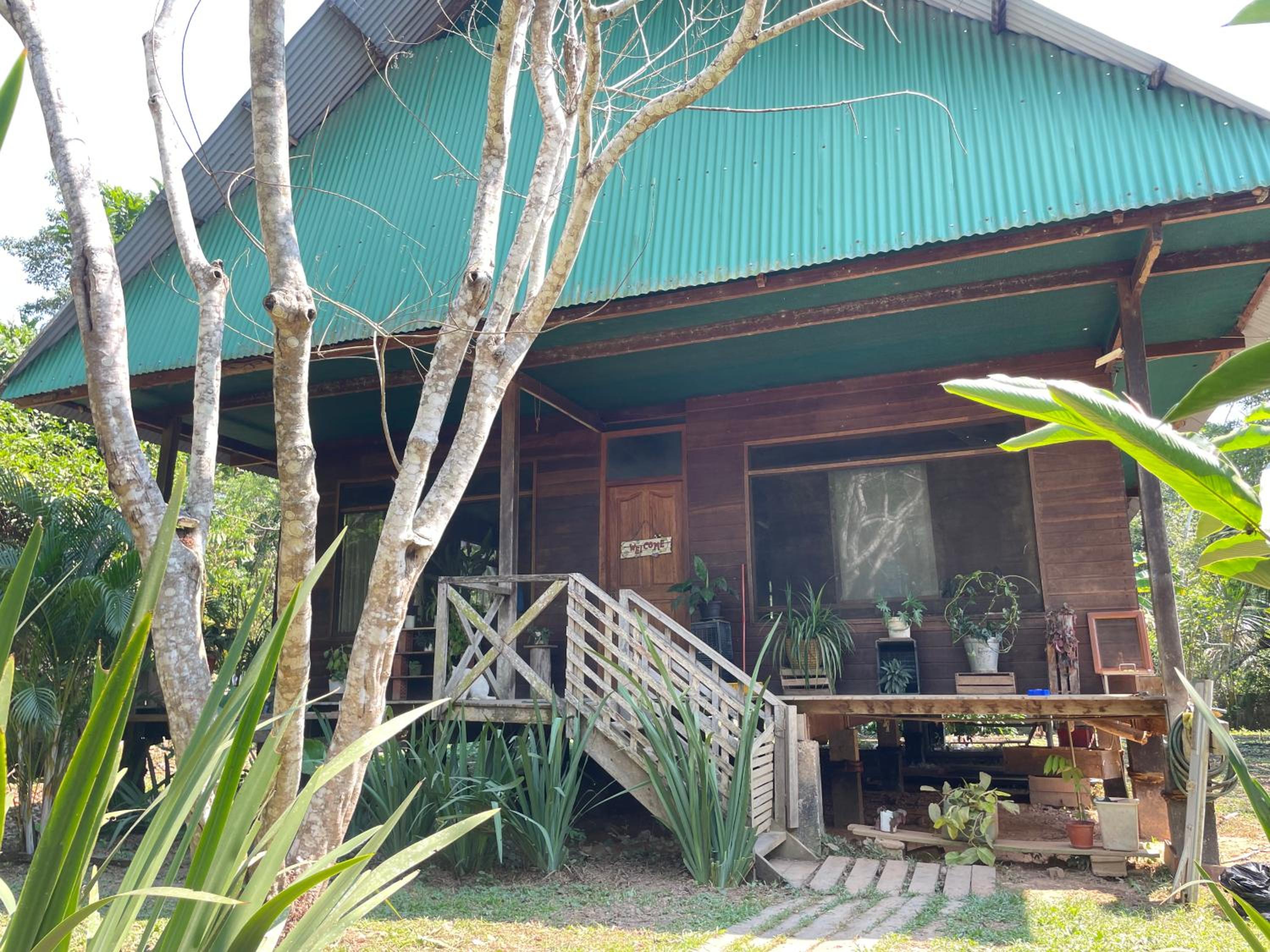 Momotus House view 4