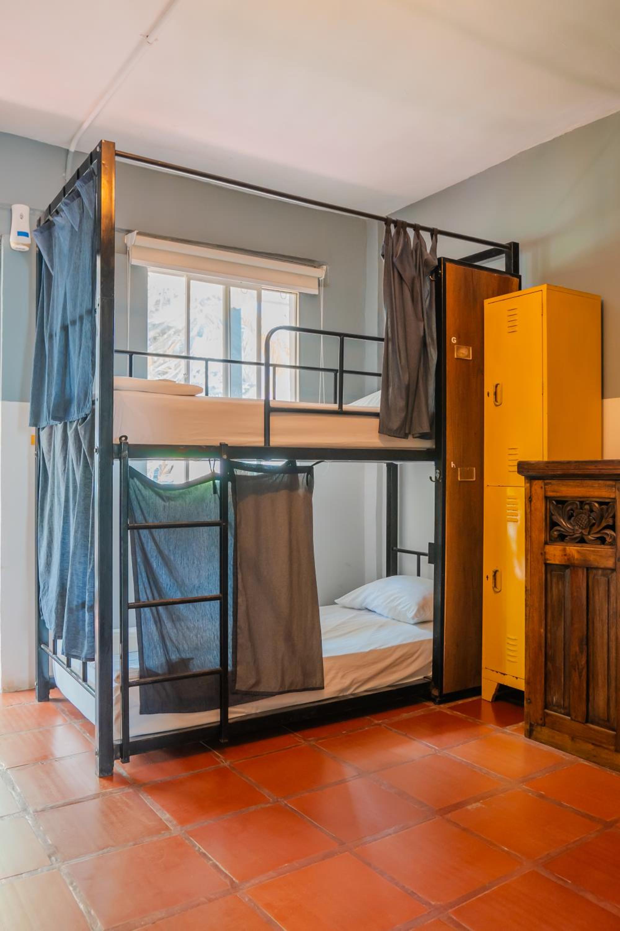 Socialtel Palomino - formerly Selina Palomino