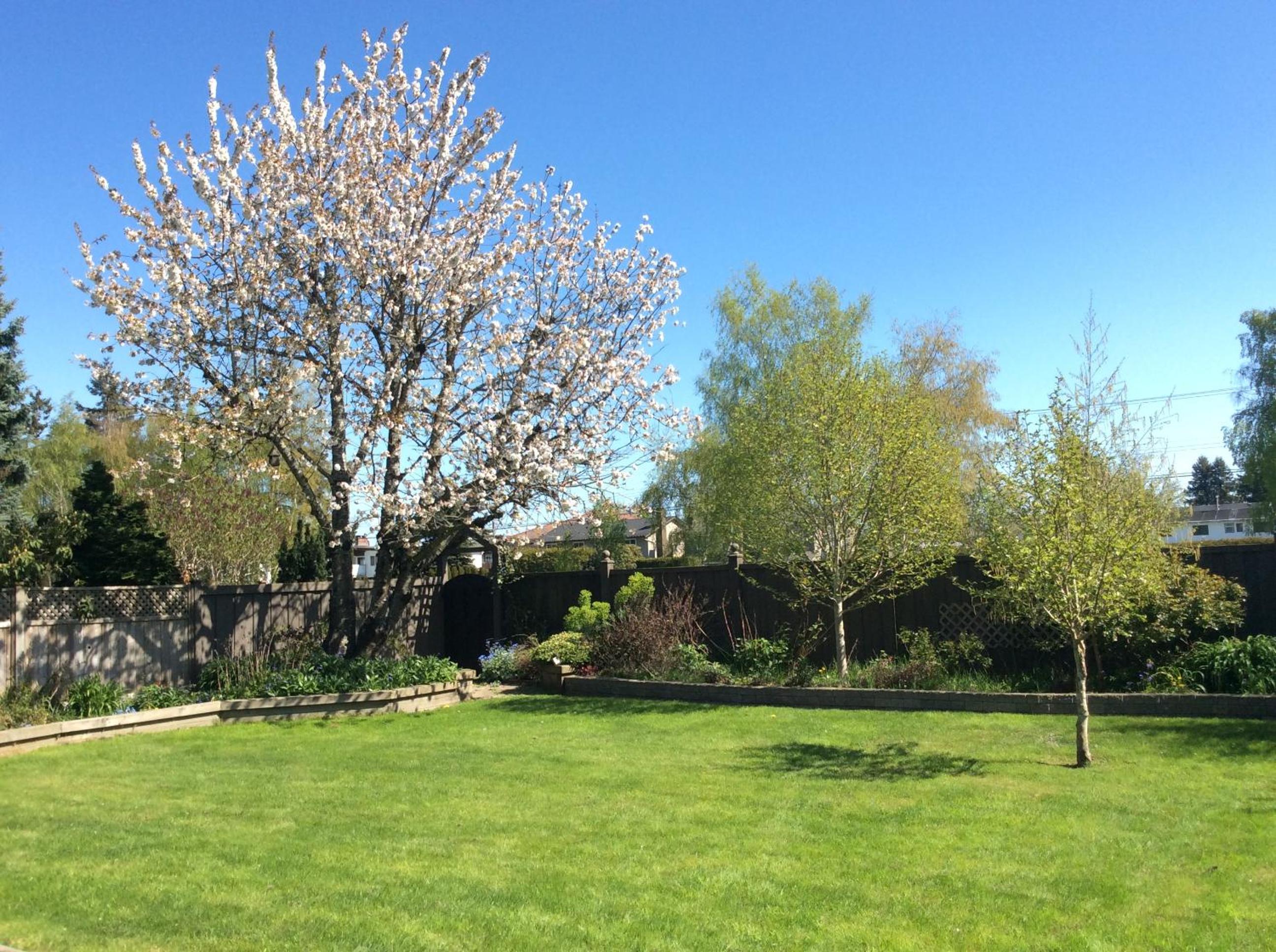 Adorable Private Stay with Garden View in Richmond