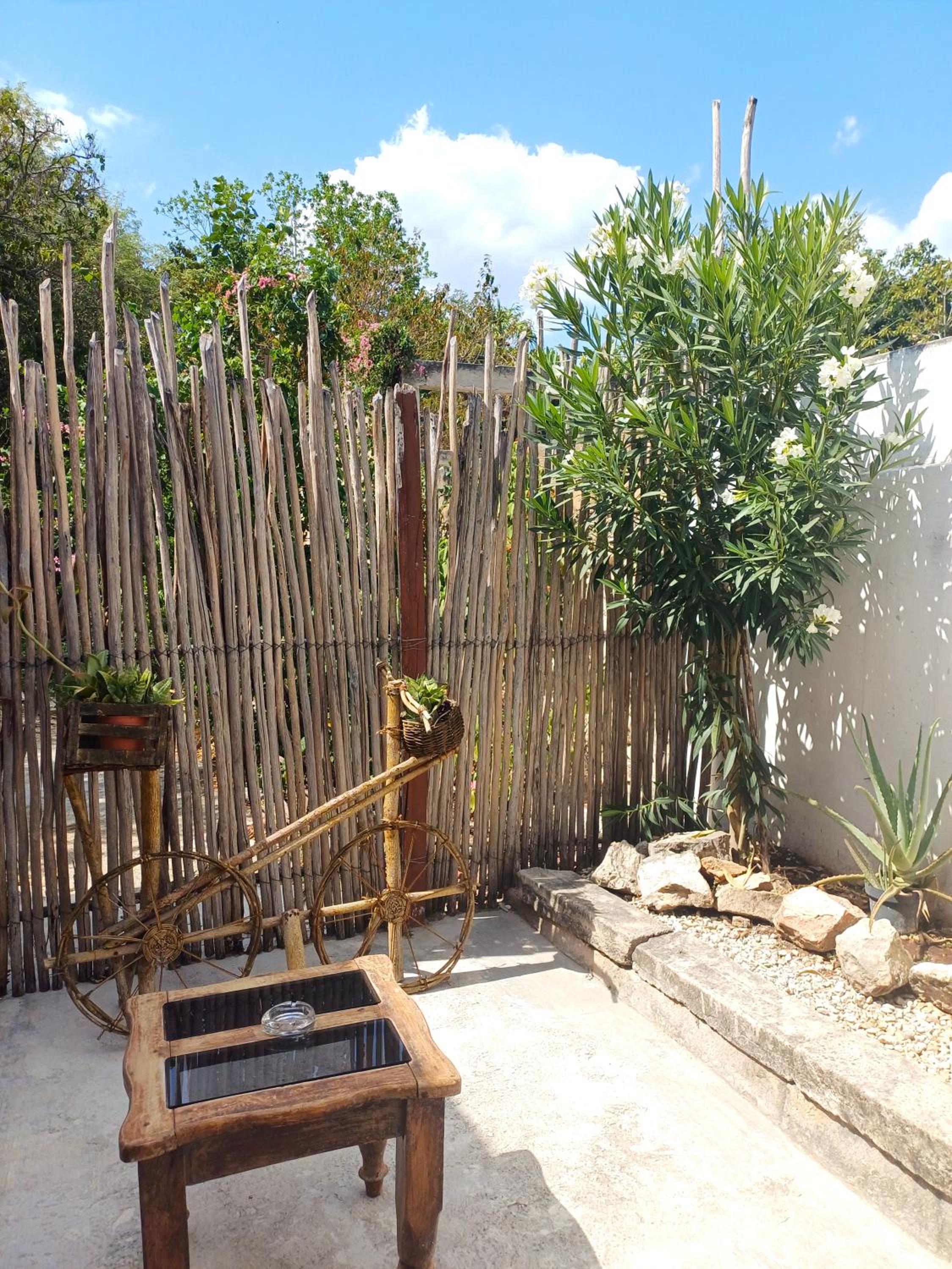 Photo 19