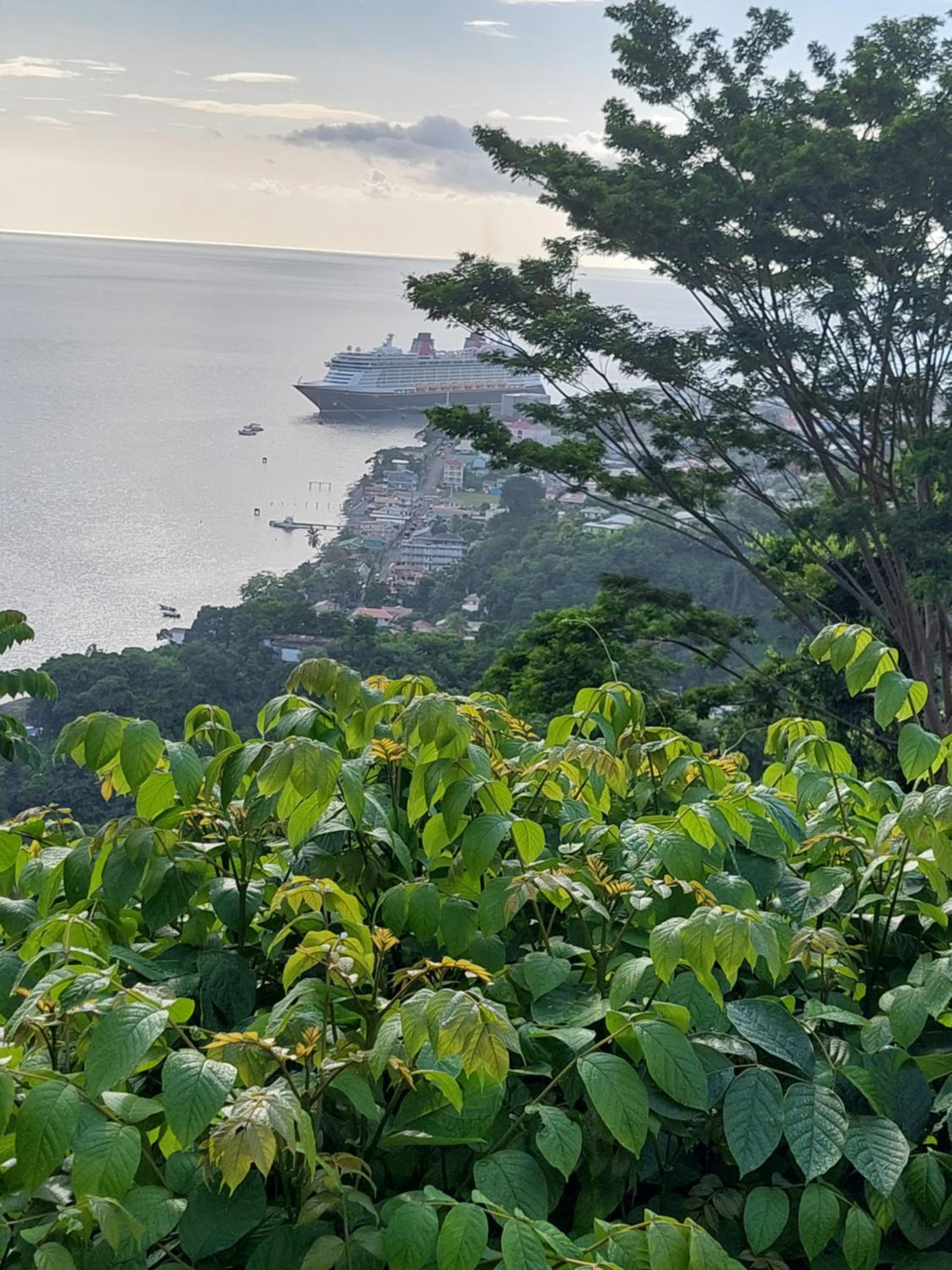 Fortune Sea view Villa