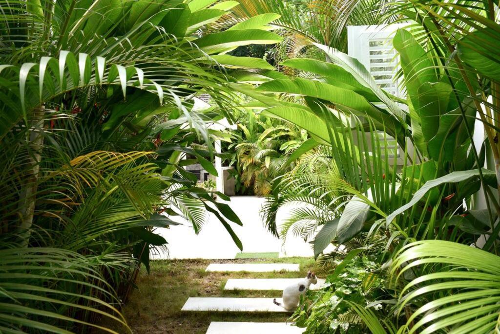 Casa Bonita I Bungalo
