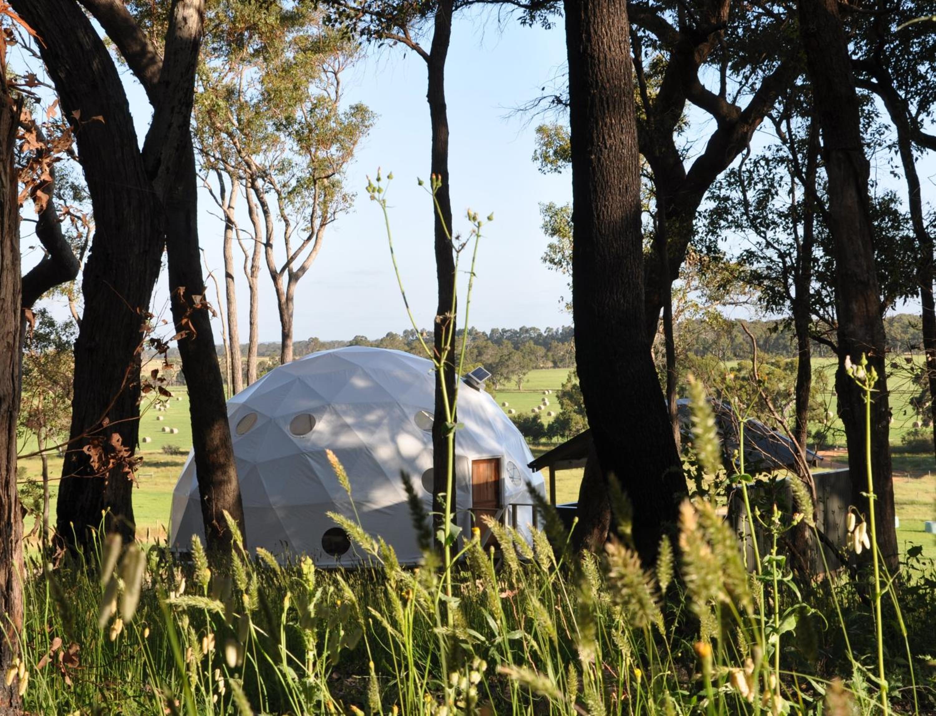 Mile End Glamping view 5