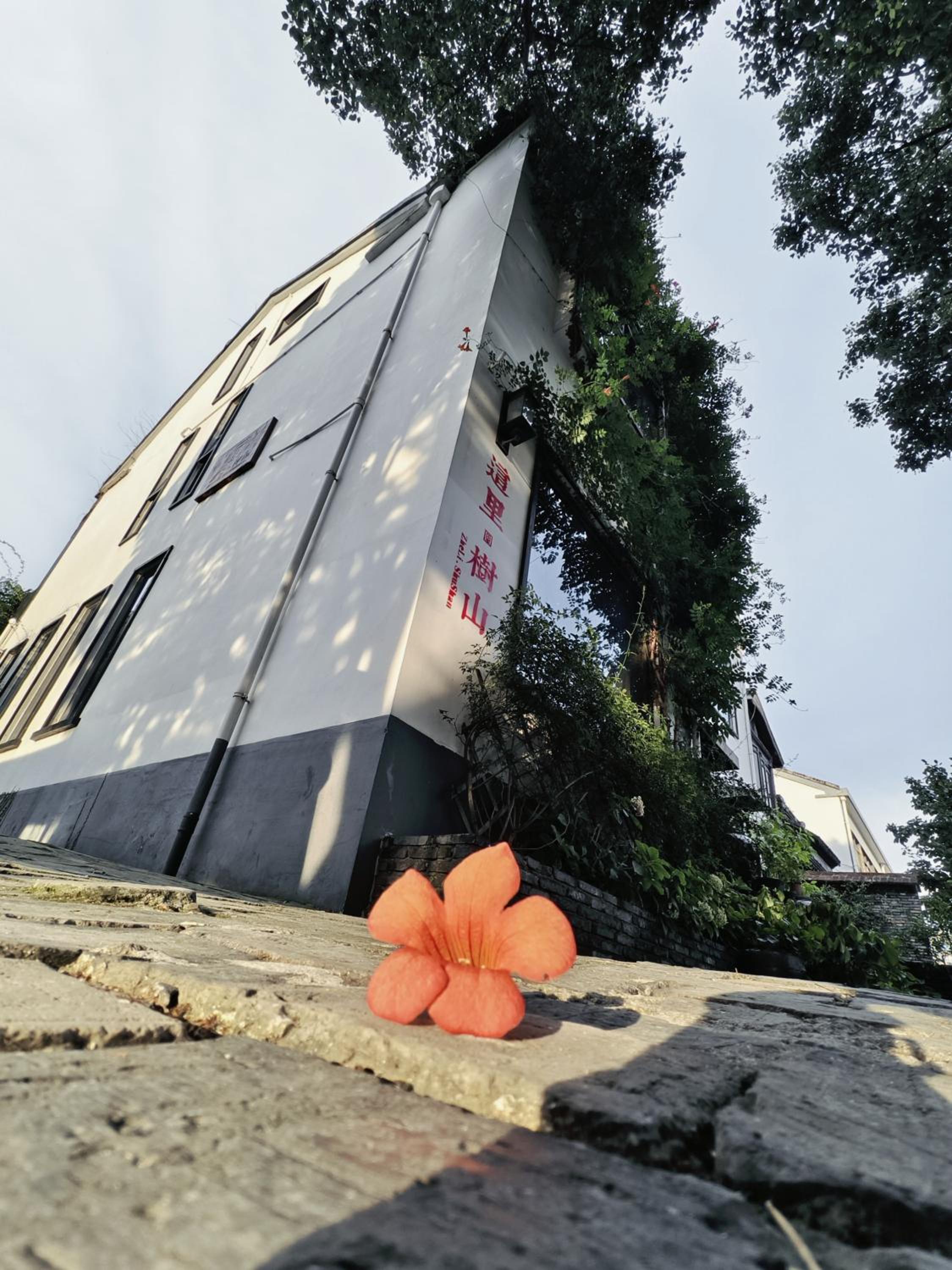 Suzhou Tree B&B - Suzhou Shushan Eco Village