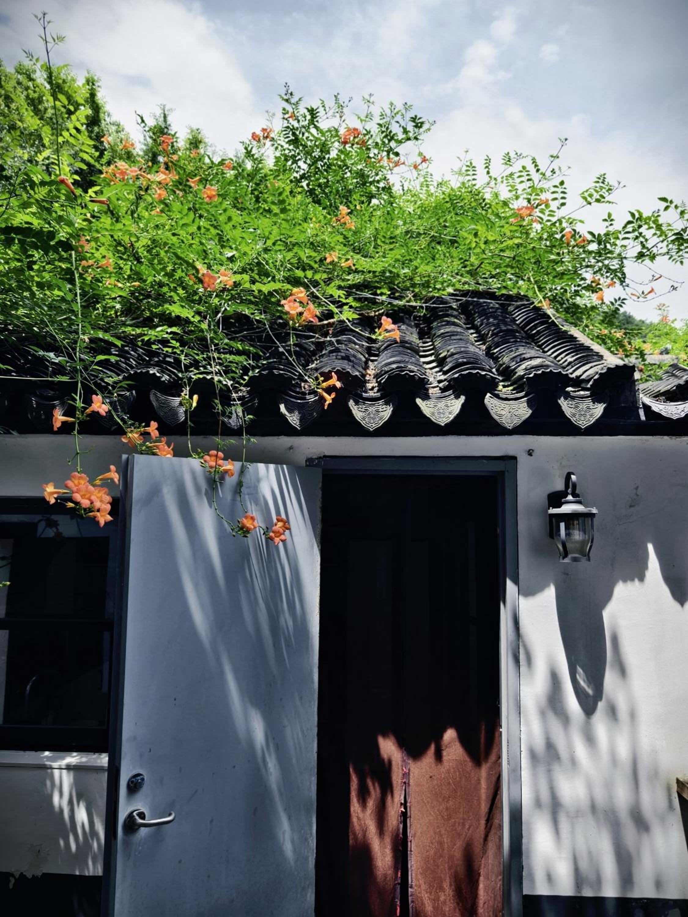 Suzhou Tree B&B - Suzhou Shushan Eco Village
