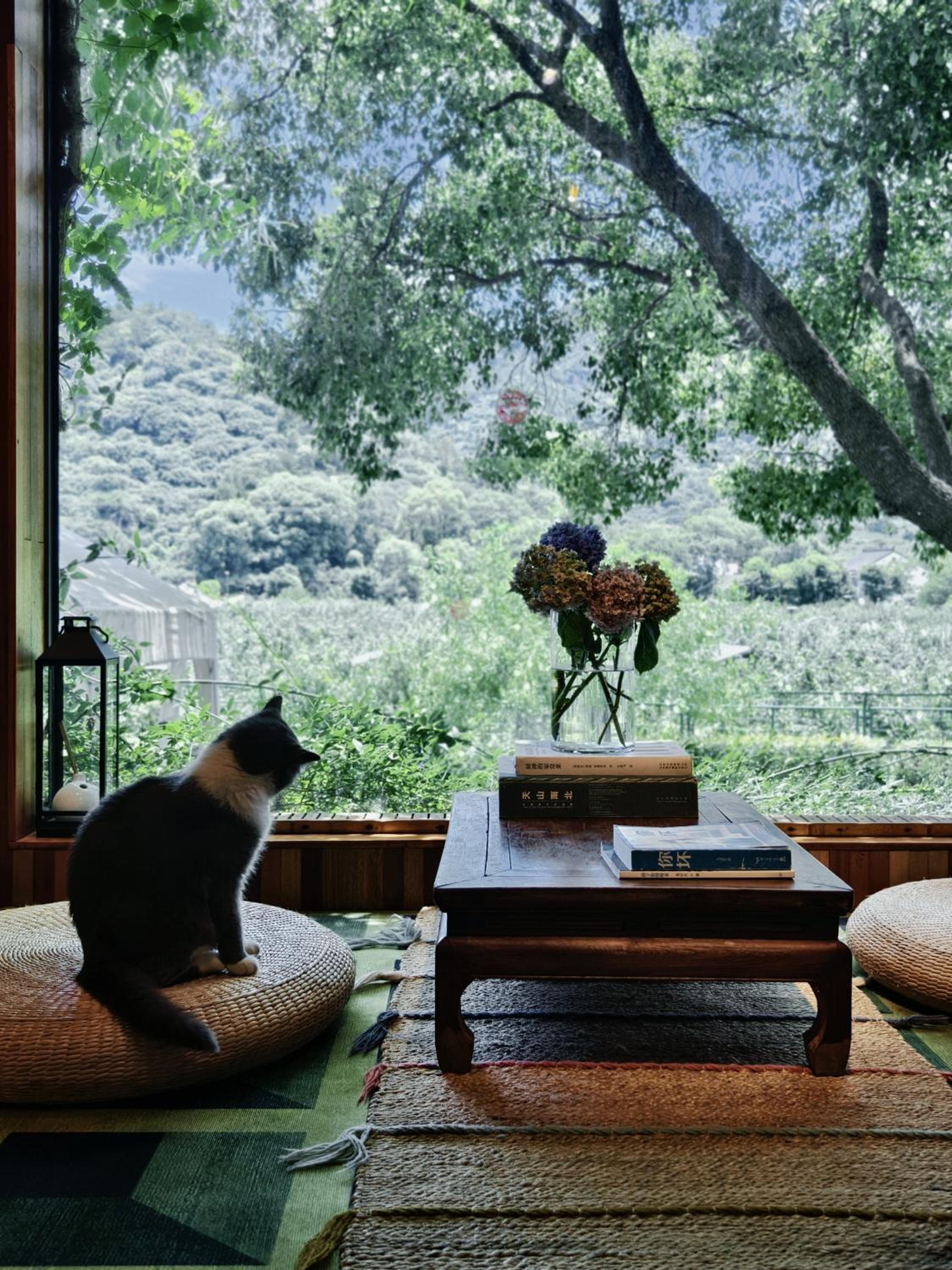 Suzhou Tree B&B - Suzhou Shushan Eco Village