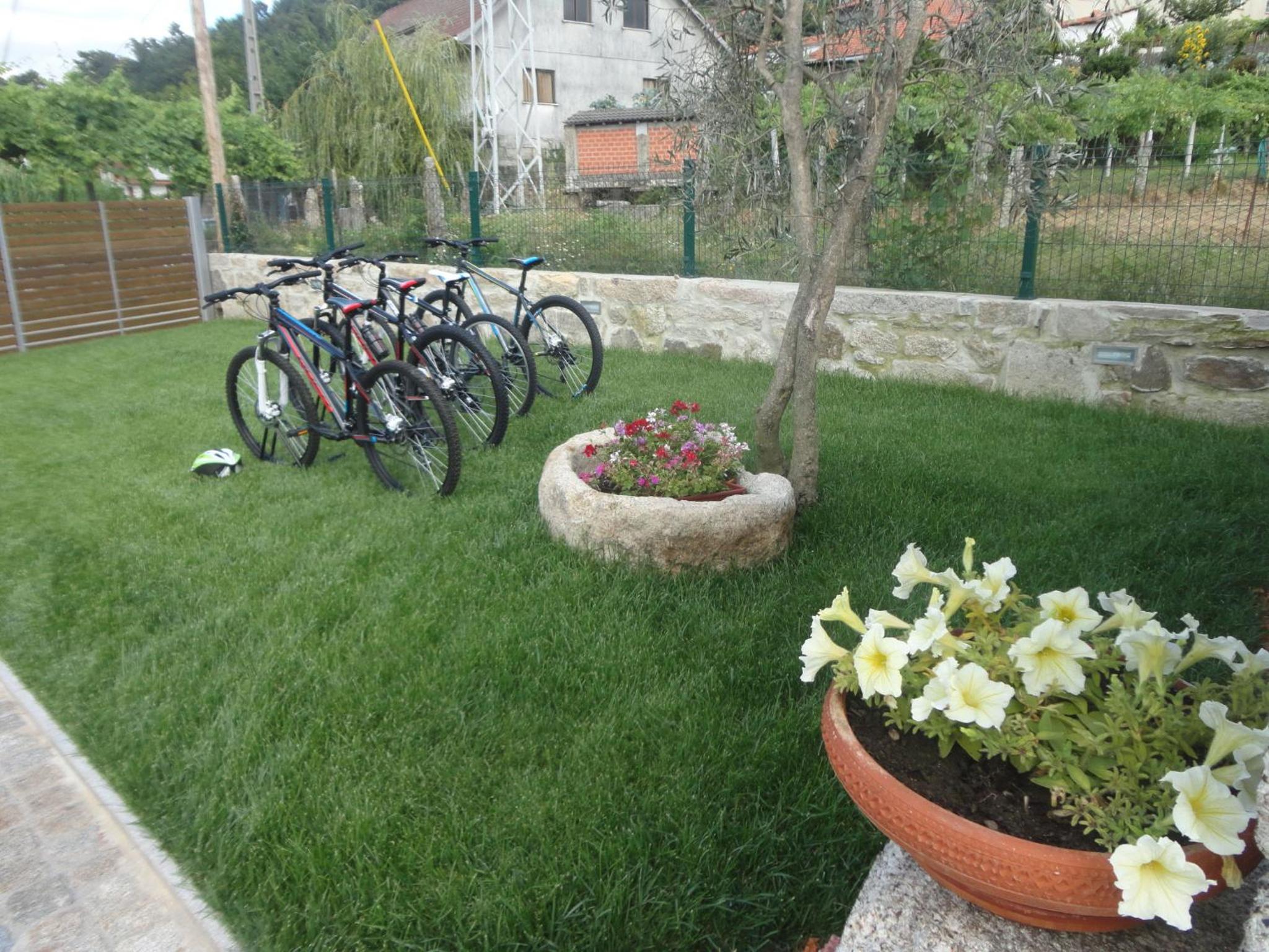 Photo 39