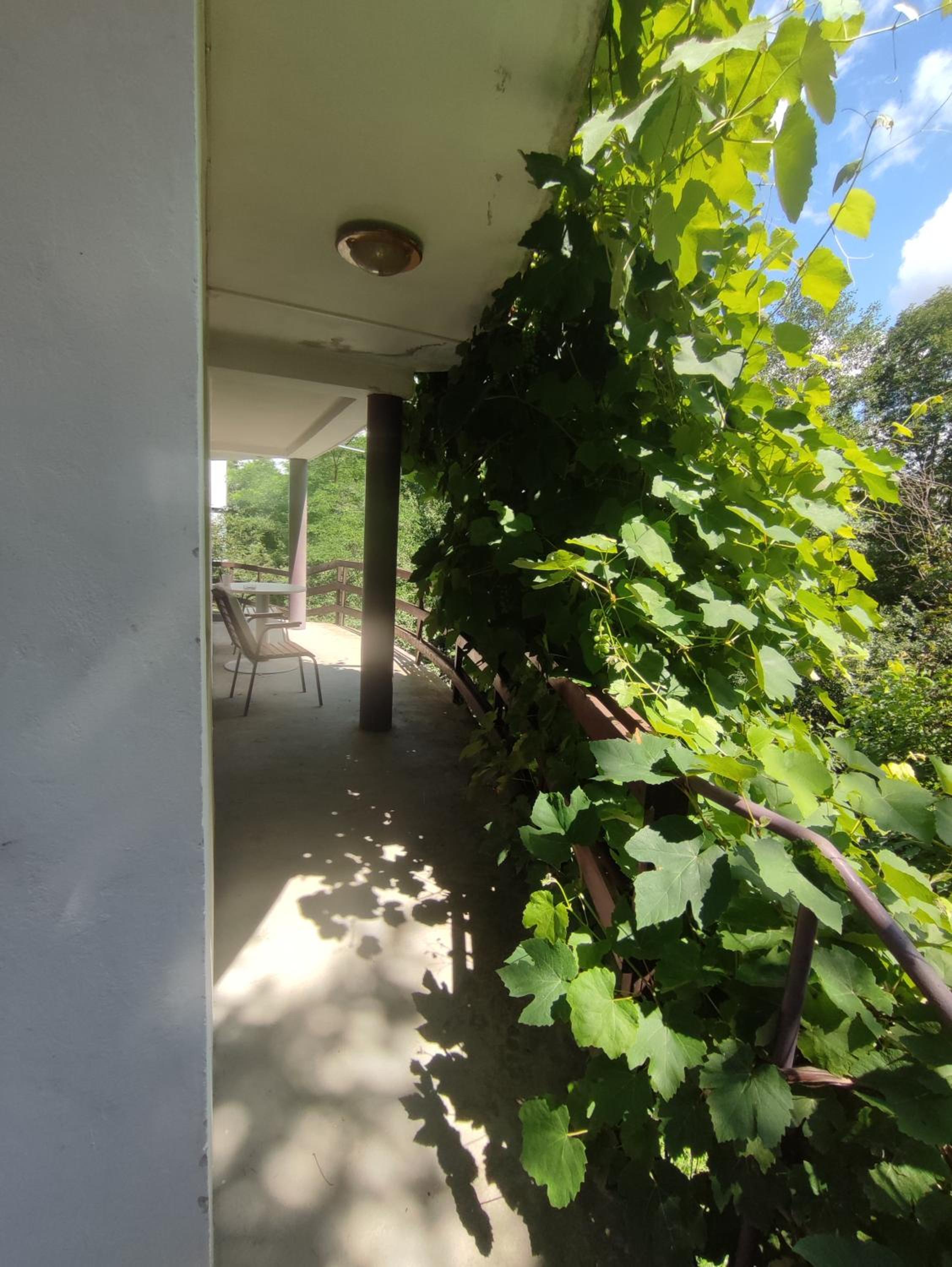 Photo 29