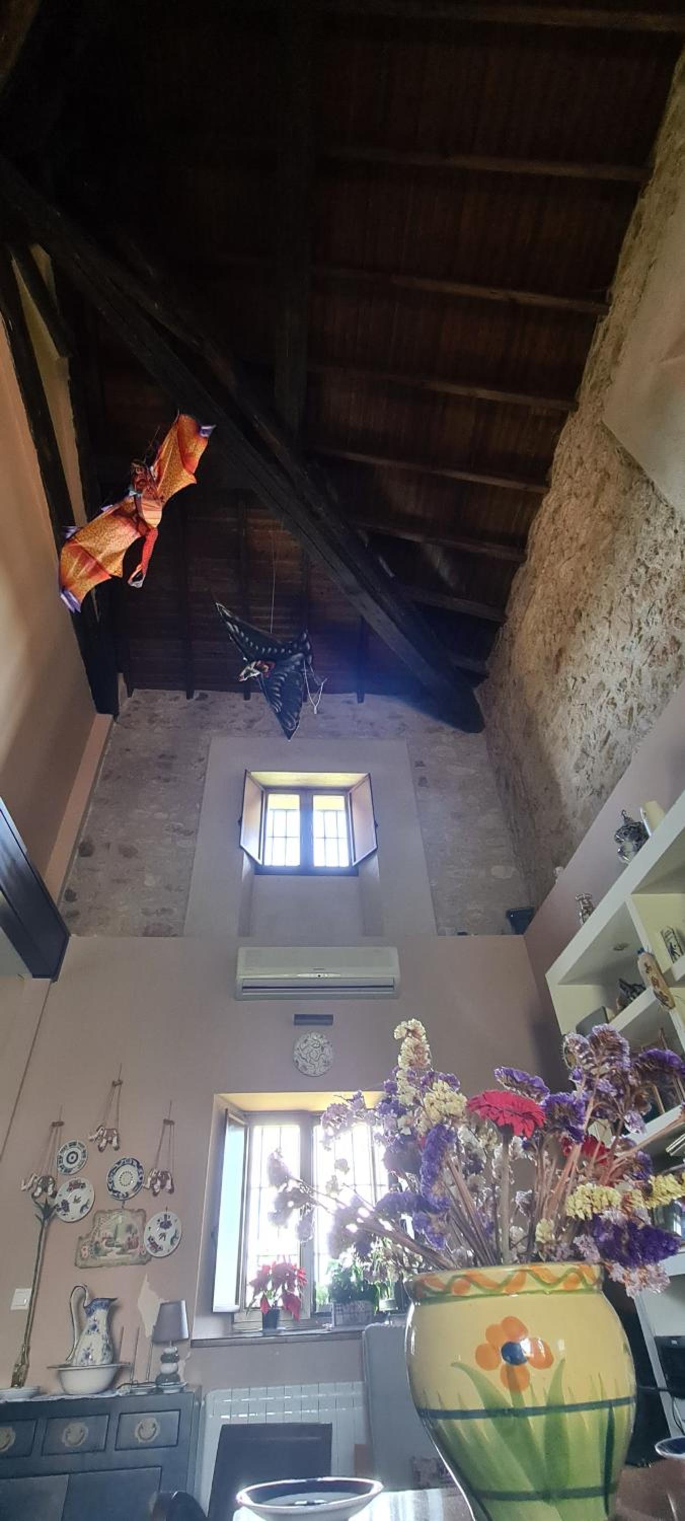 Finca la Carb0nera view 5