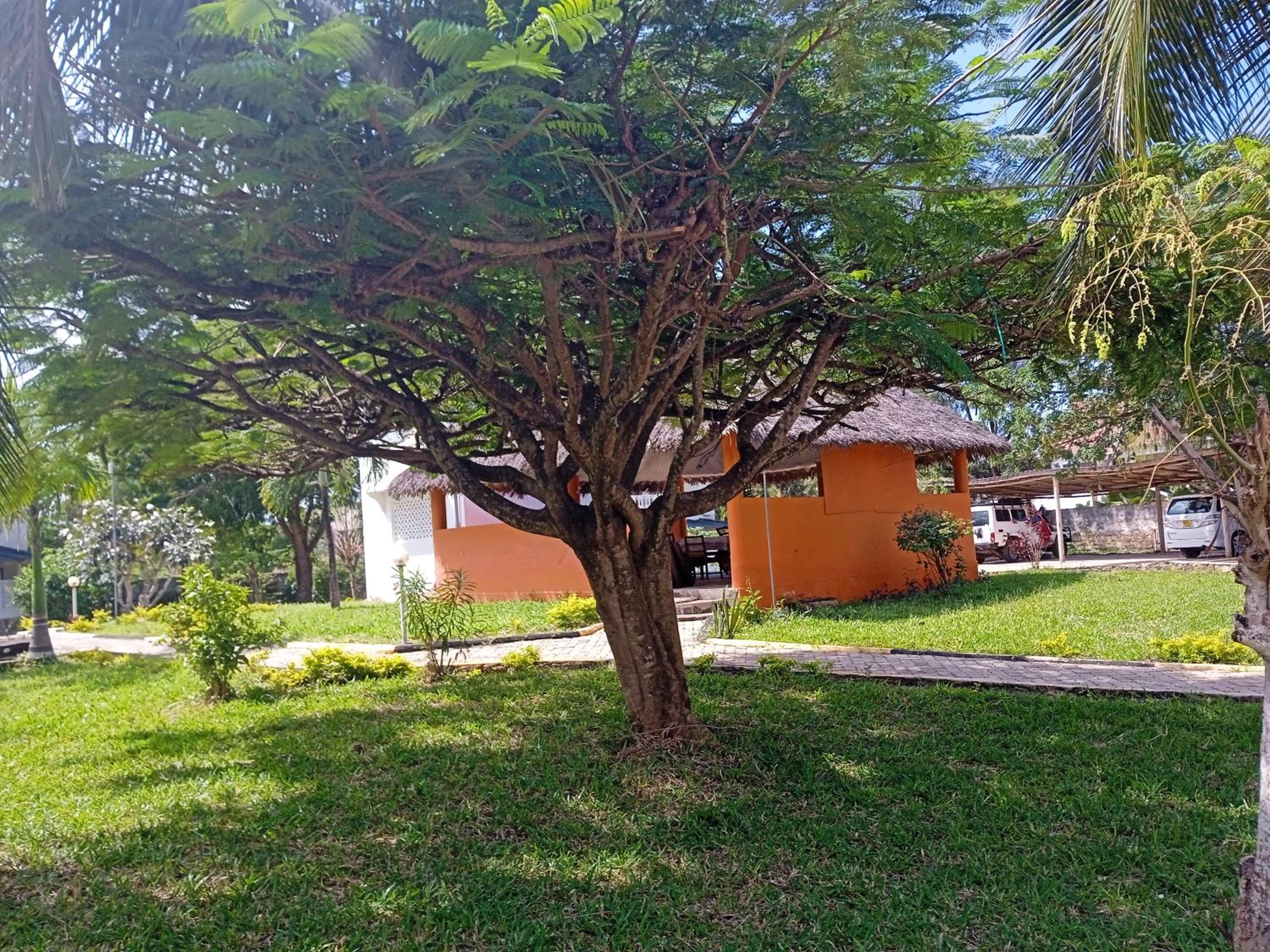 Villas Orchard