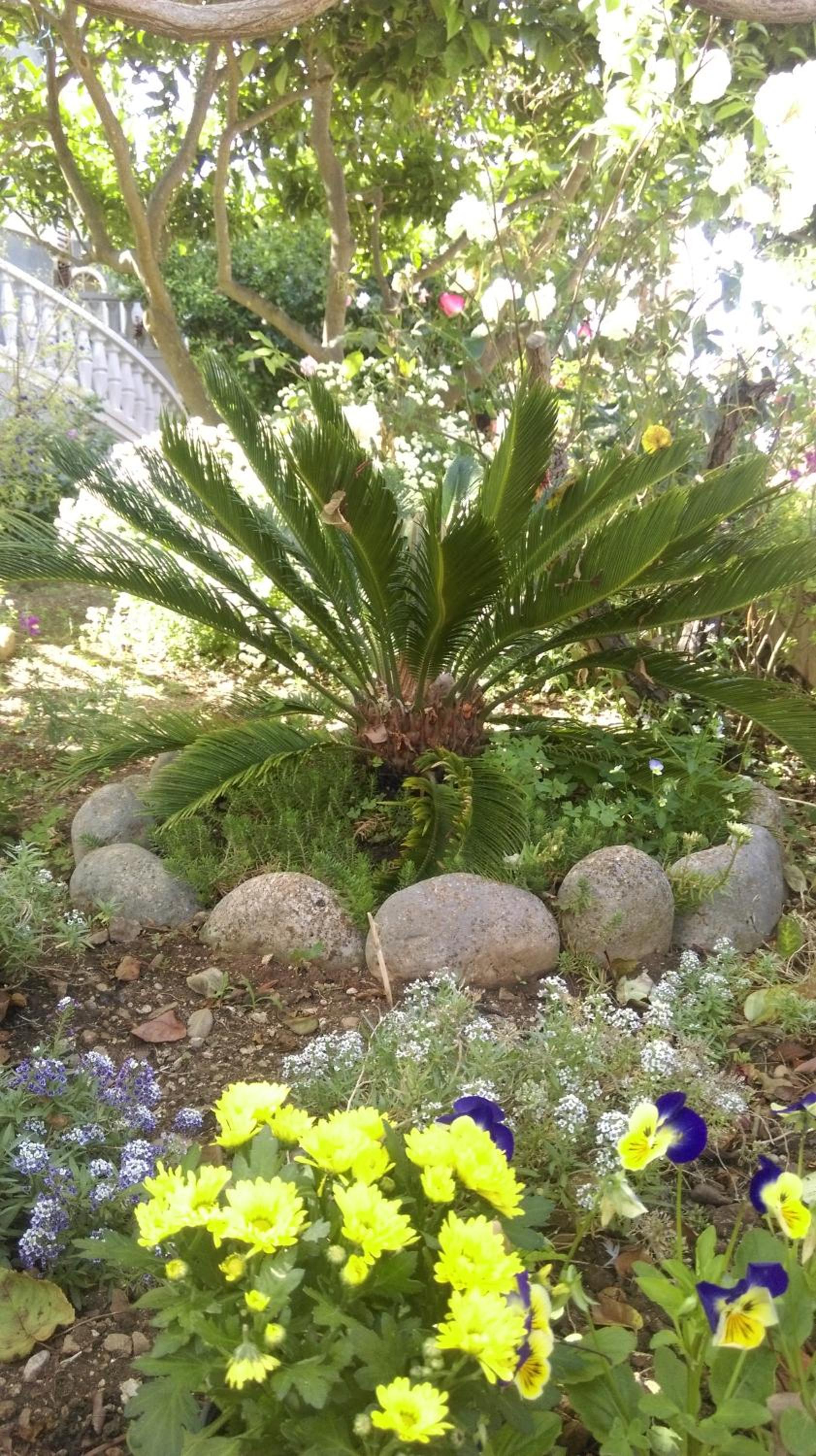 Photo 22