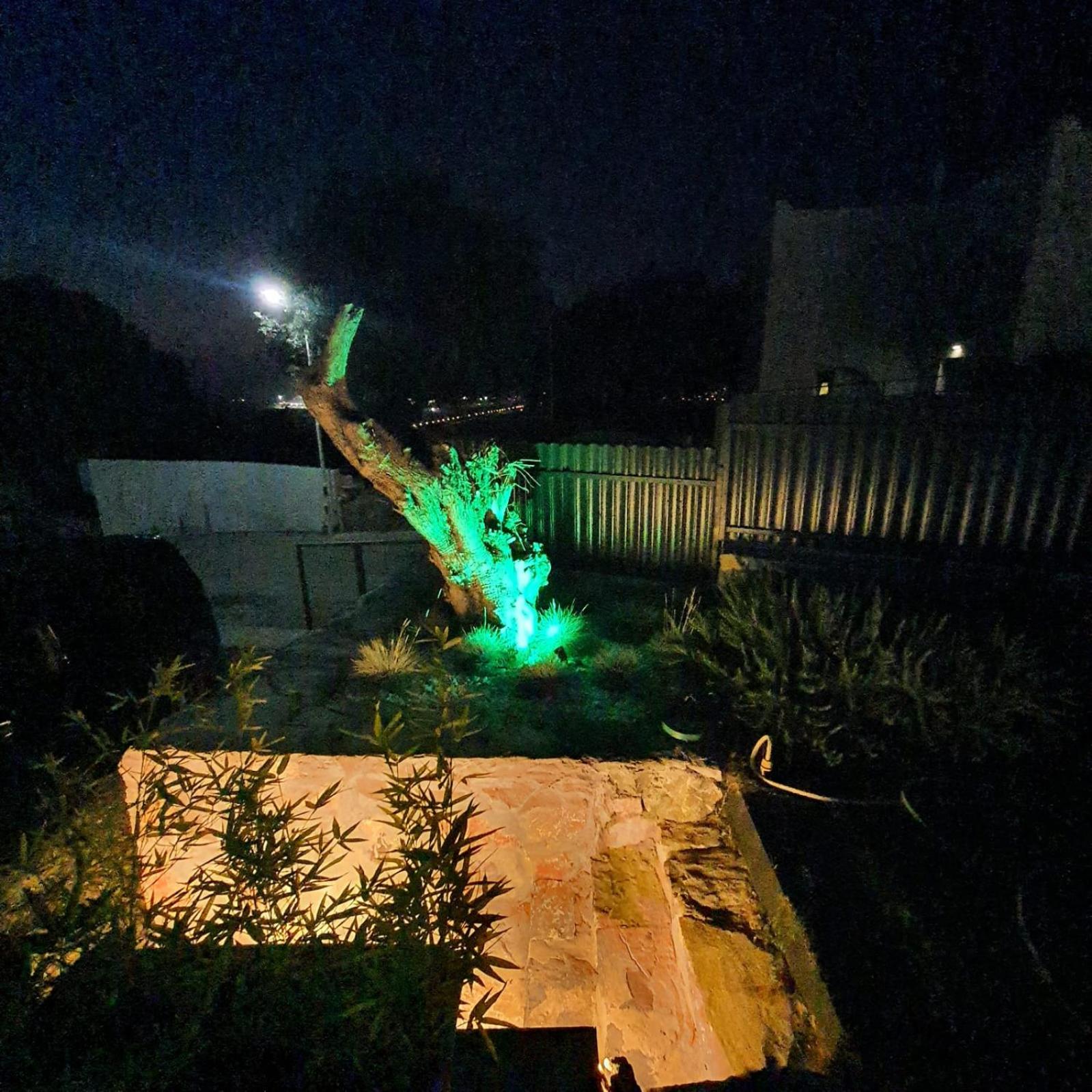 Photo 36