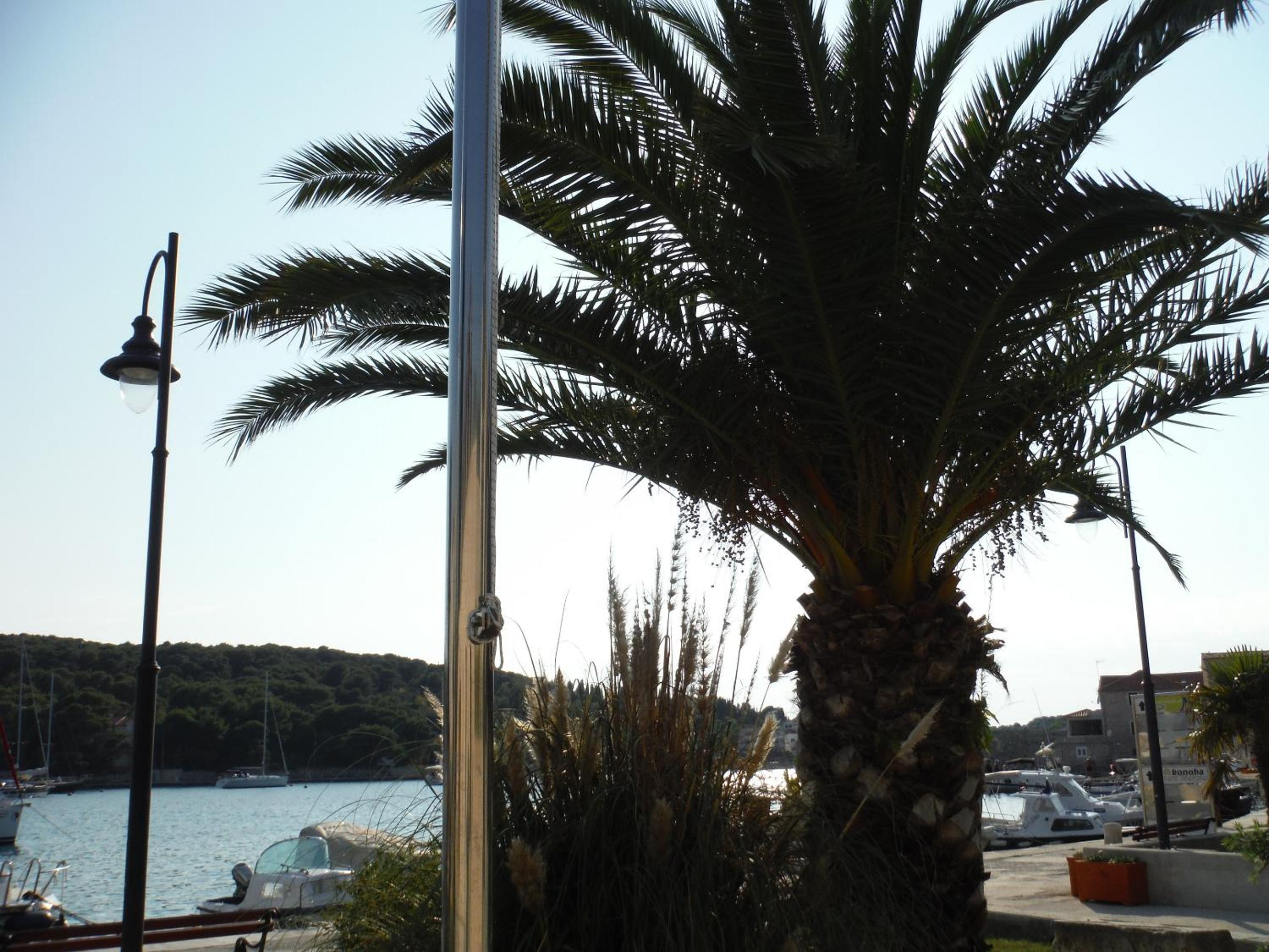 Sea View Apartment in Prvić Luka, 46m², Terrace