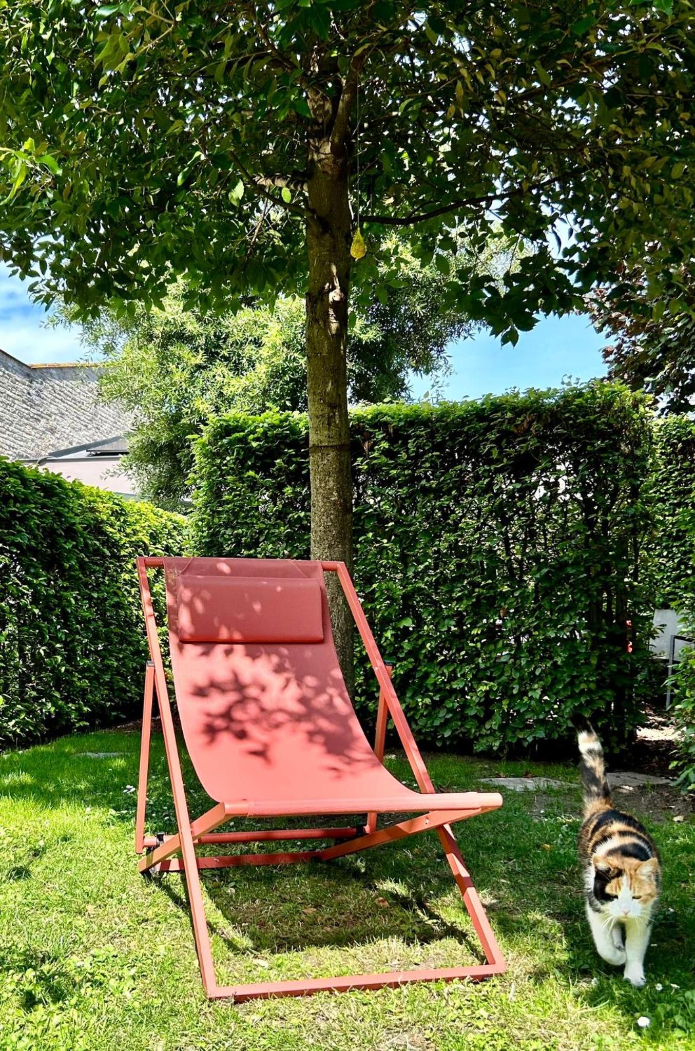B&B Contrast view 4