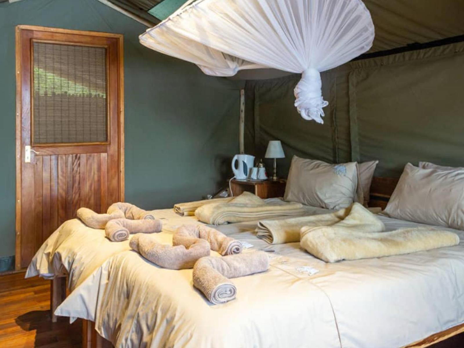 Ndhovu Safari Lodge