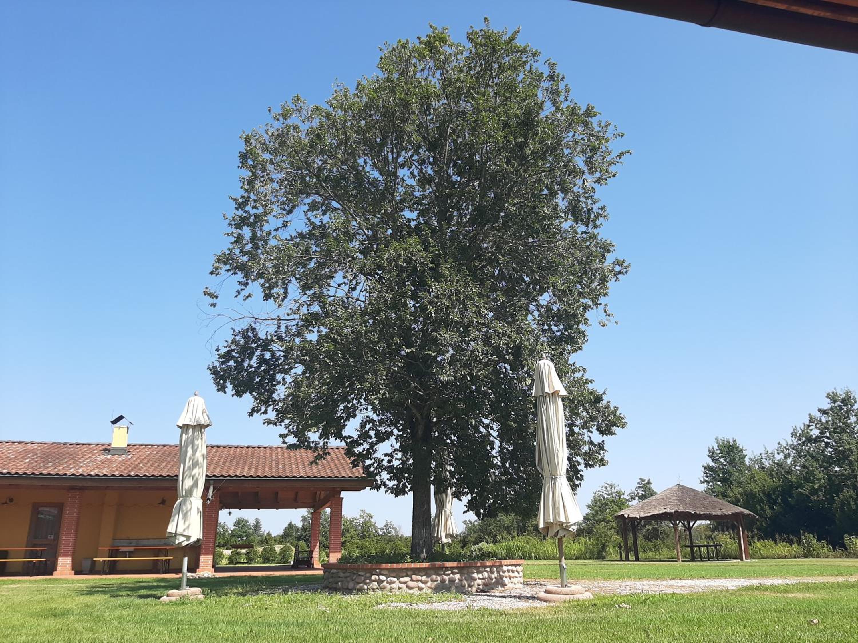 Corte all'Olmo, Foto 47