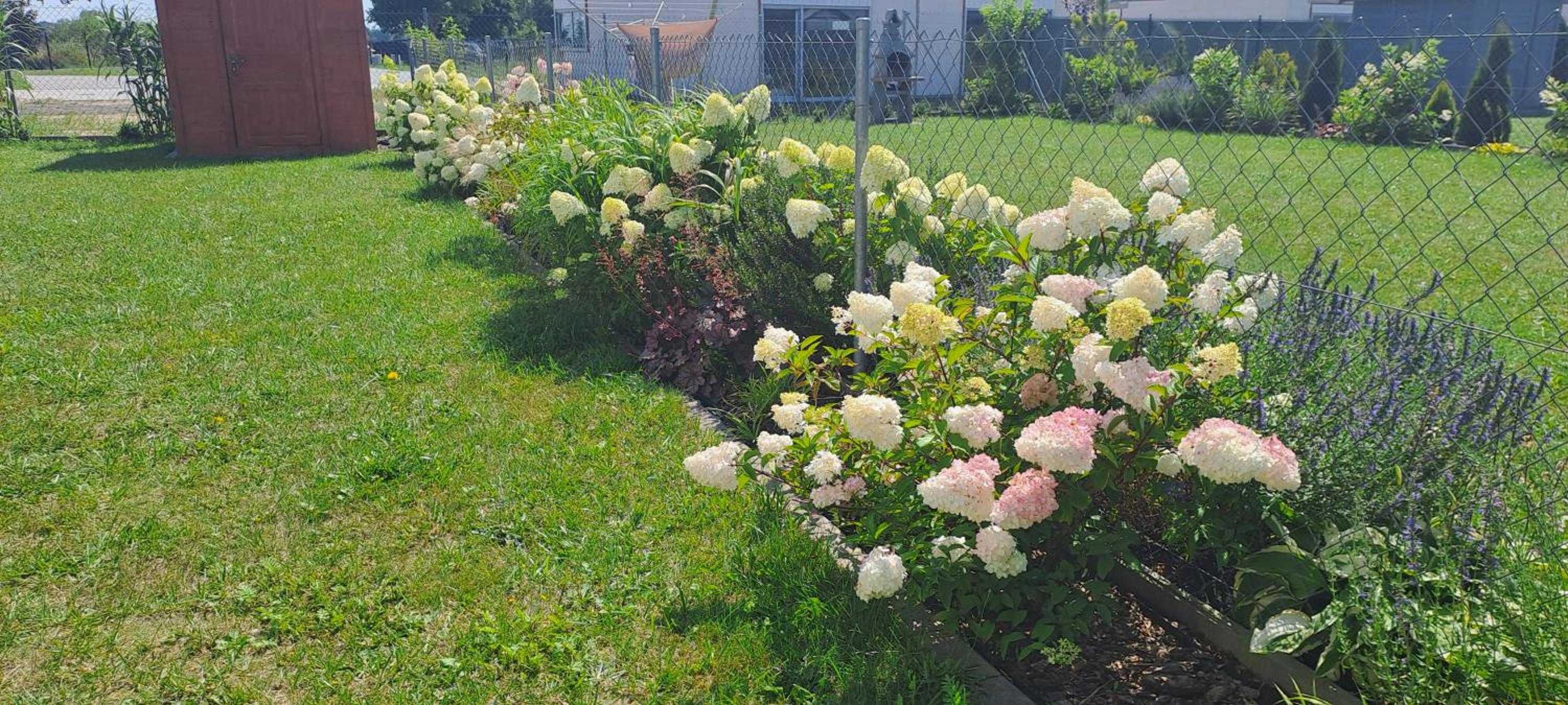 Photo 35